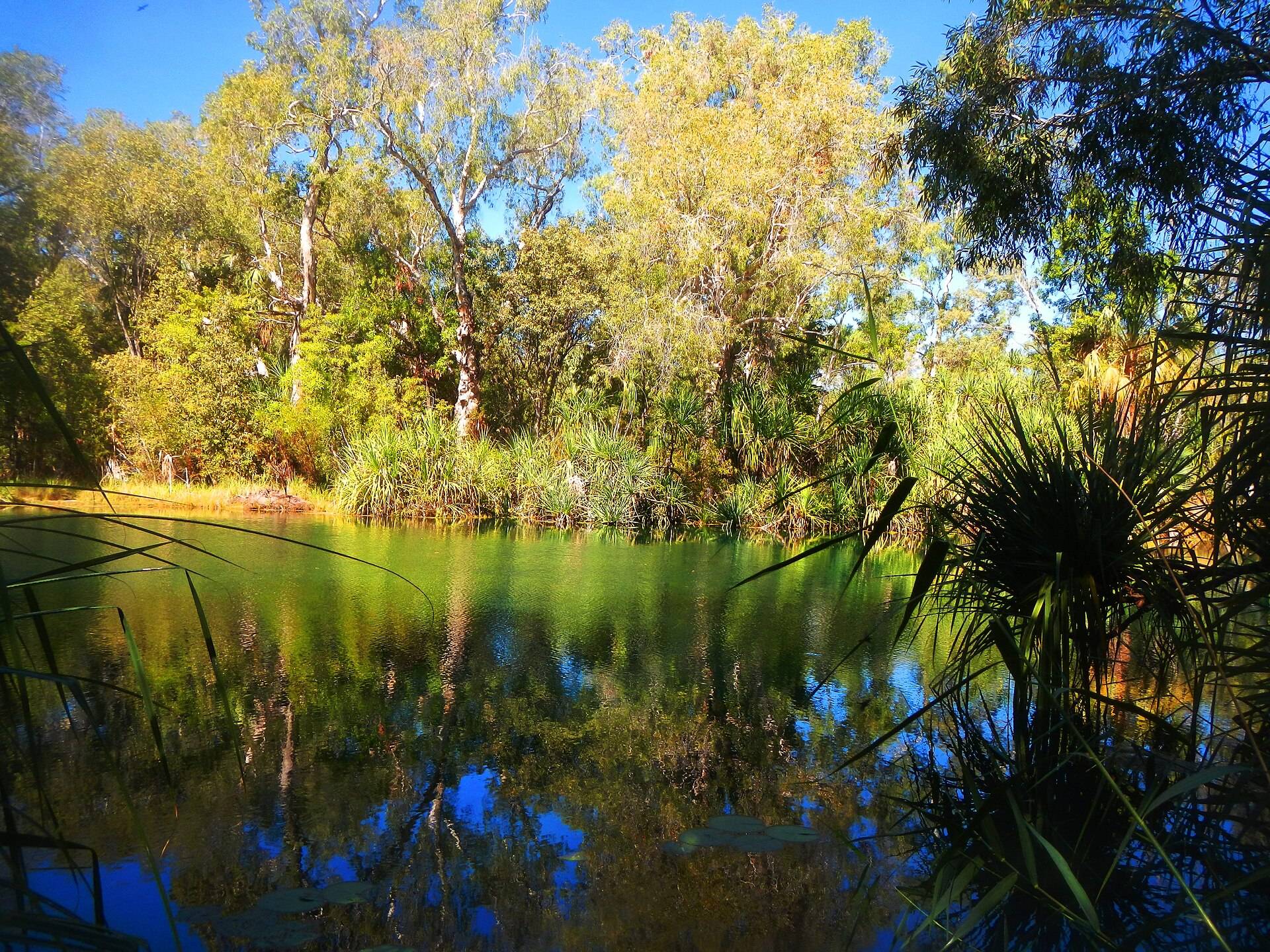 Miyumba Bush Camp in Lawn Hill, QLD — photo 3