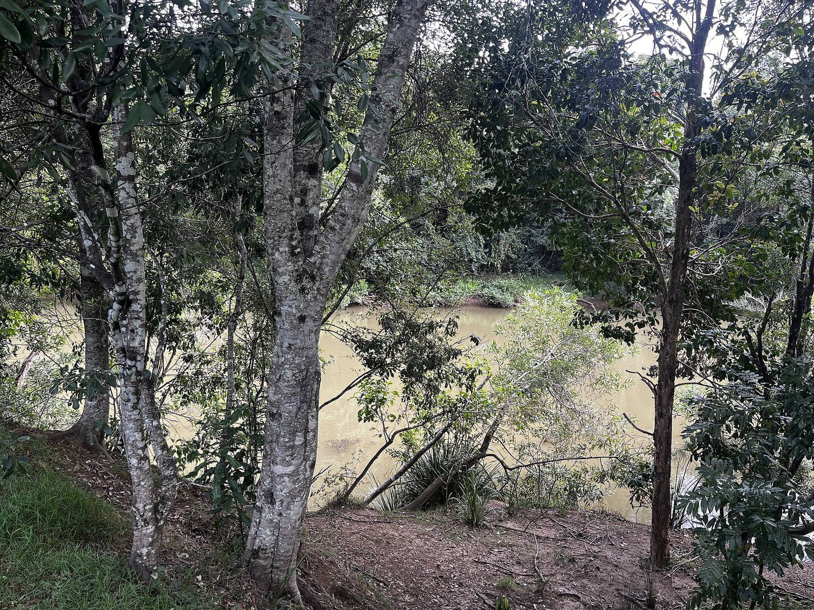 Mullumbimby Showground — Mullumbimby, NSW
