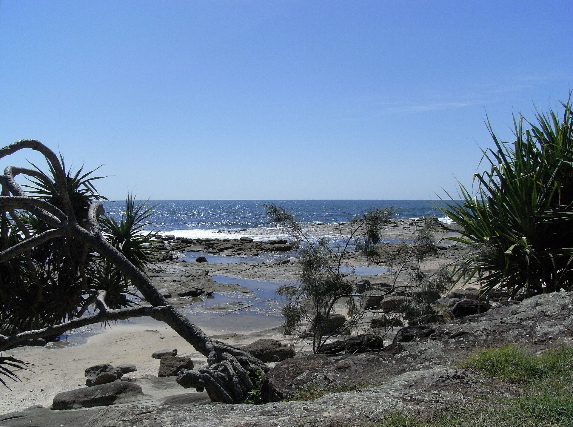 Woody Head Campground in Woody Head, NSW — photo 1