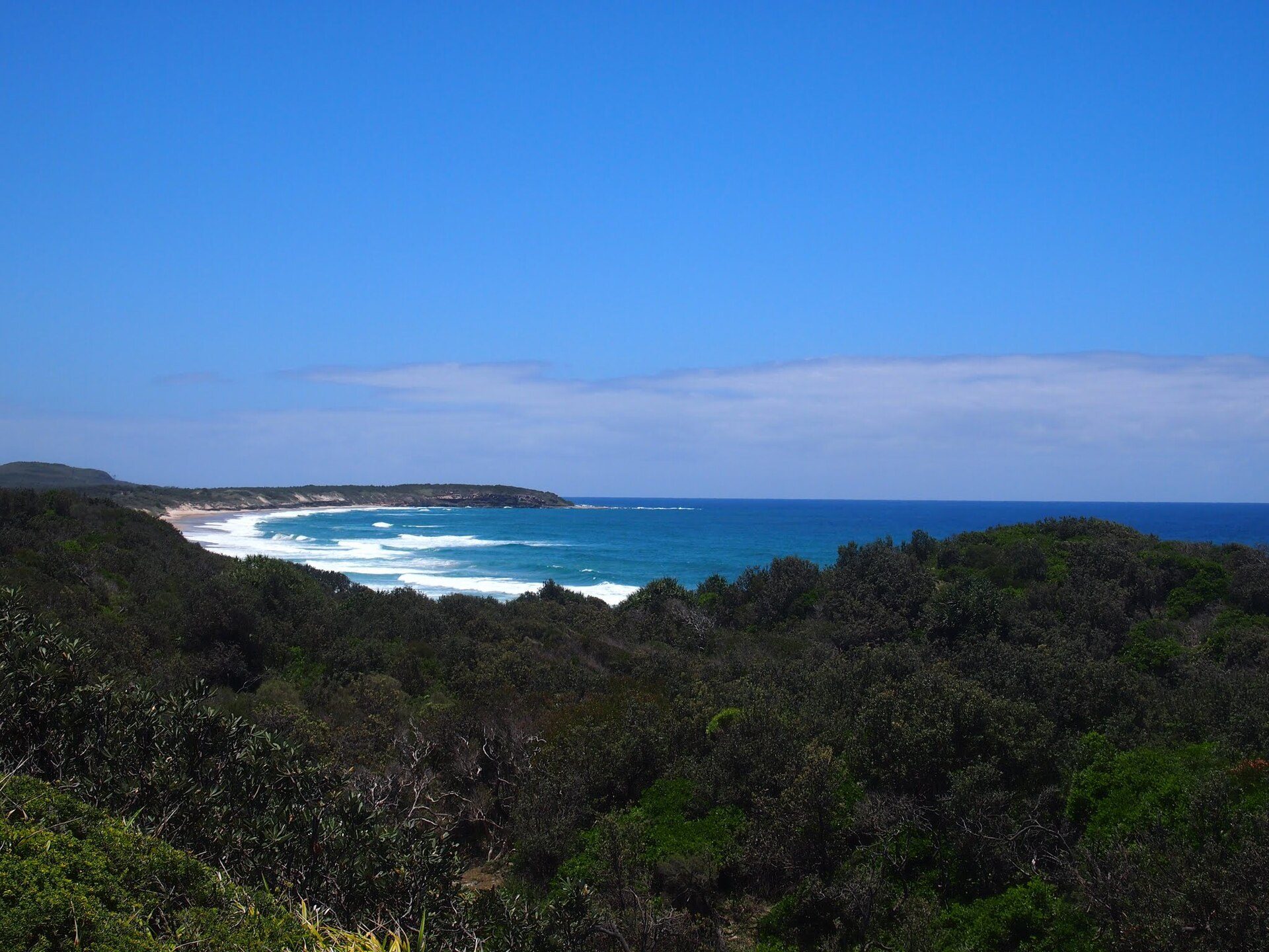 Red Cliff Campground in Brooms Head, NSW — photo 1