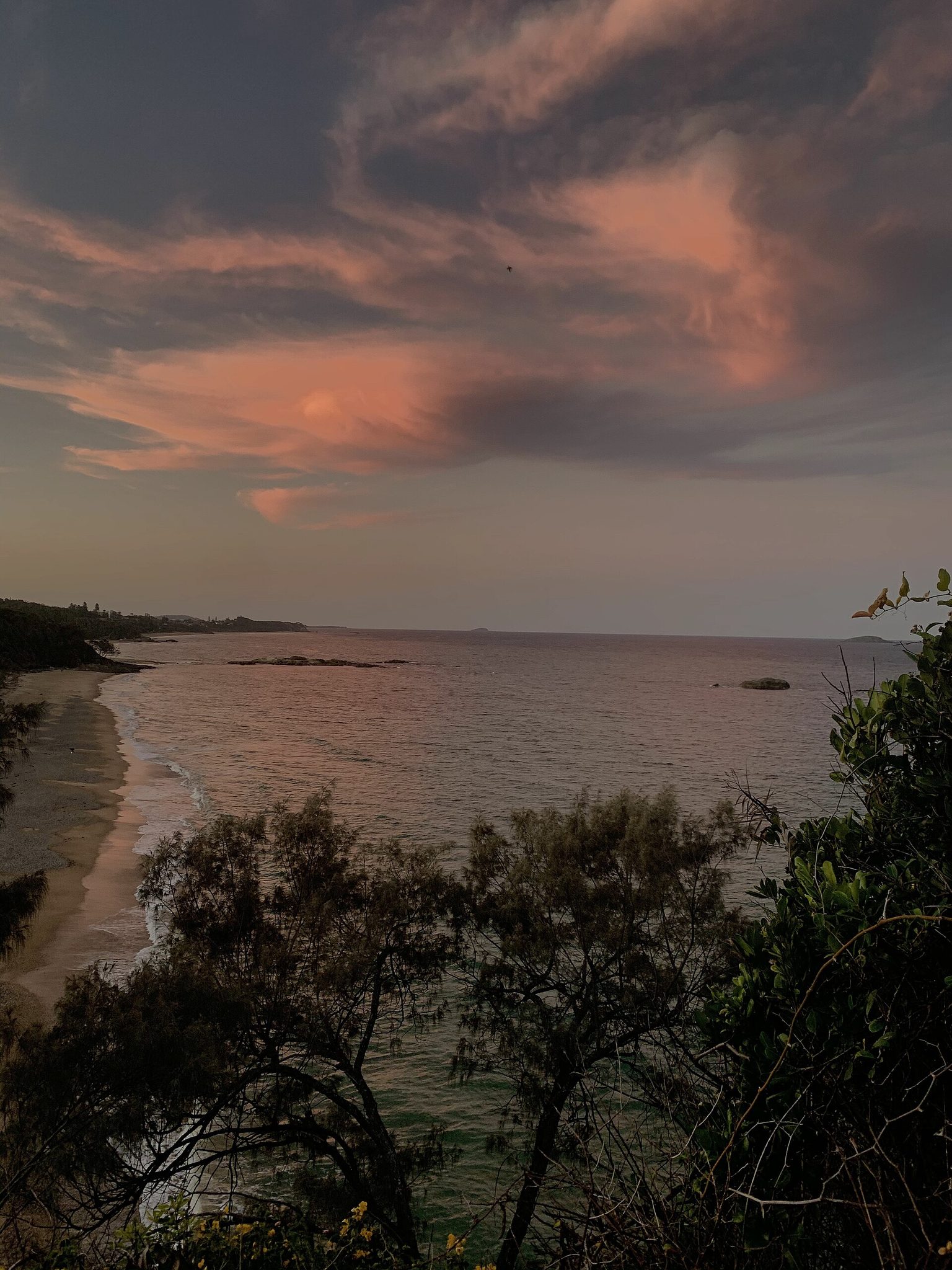 Sealy Lookout Bruxner Park Picnic Area in Korora, NSW — photo 1
