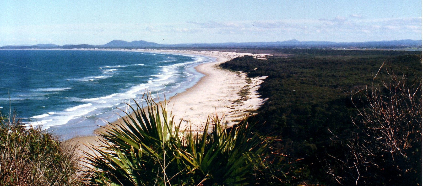 Smoky Cape Campground in Arakoon, NSW — photo 2