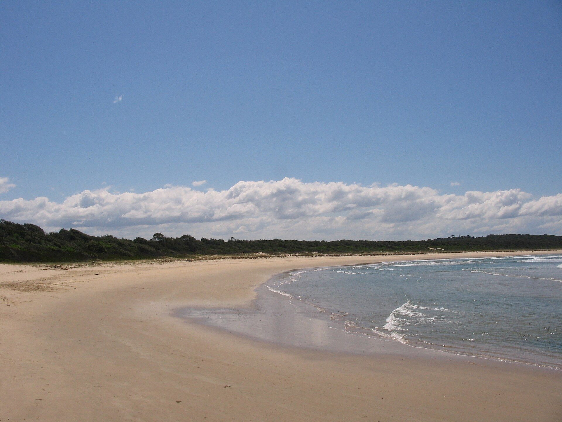 Racecourse Headland Campground — Crescent Head, NSW