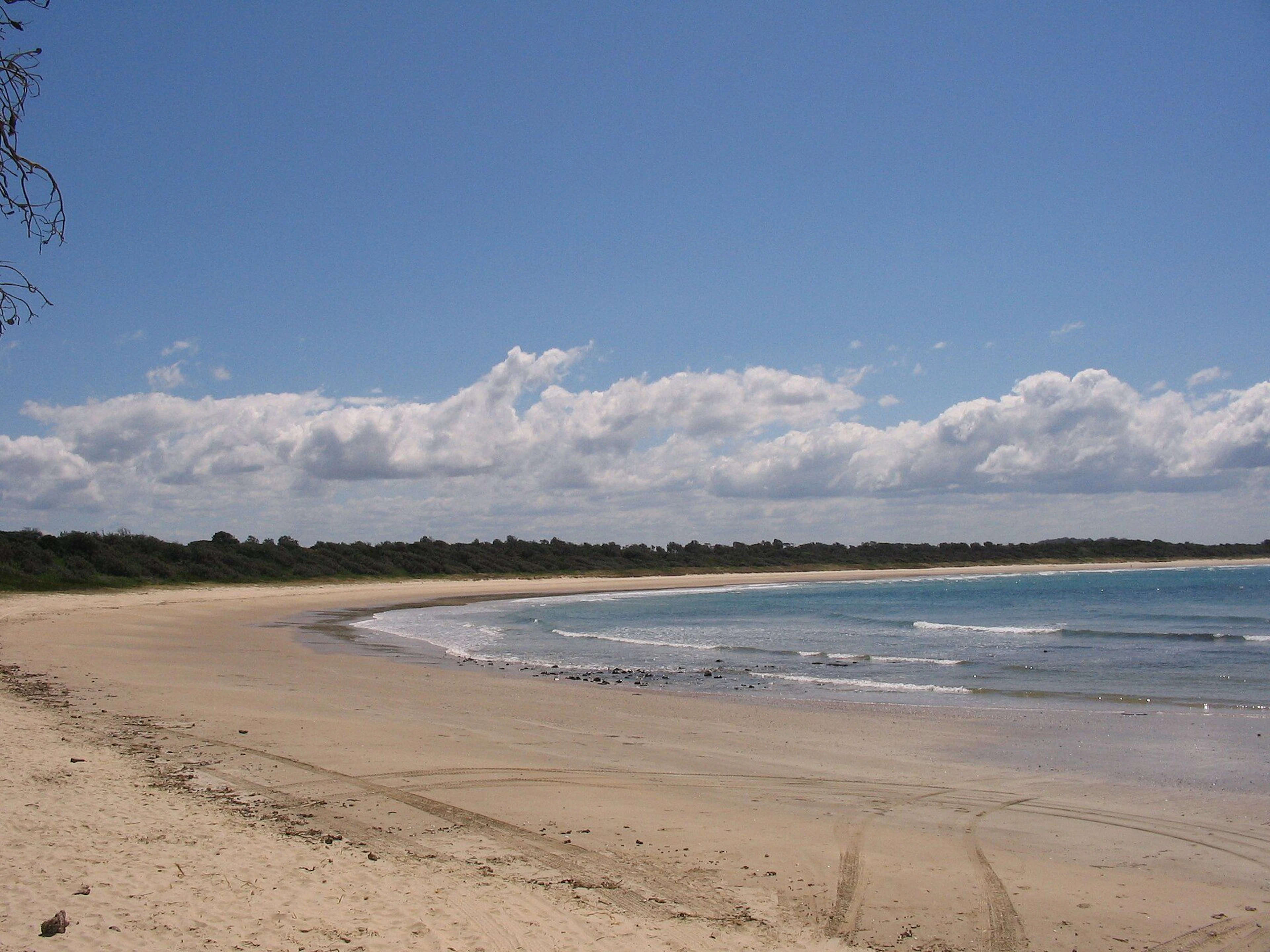 Point Plomer Campground in Limeburners Creek, NSW — photo 3