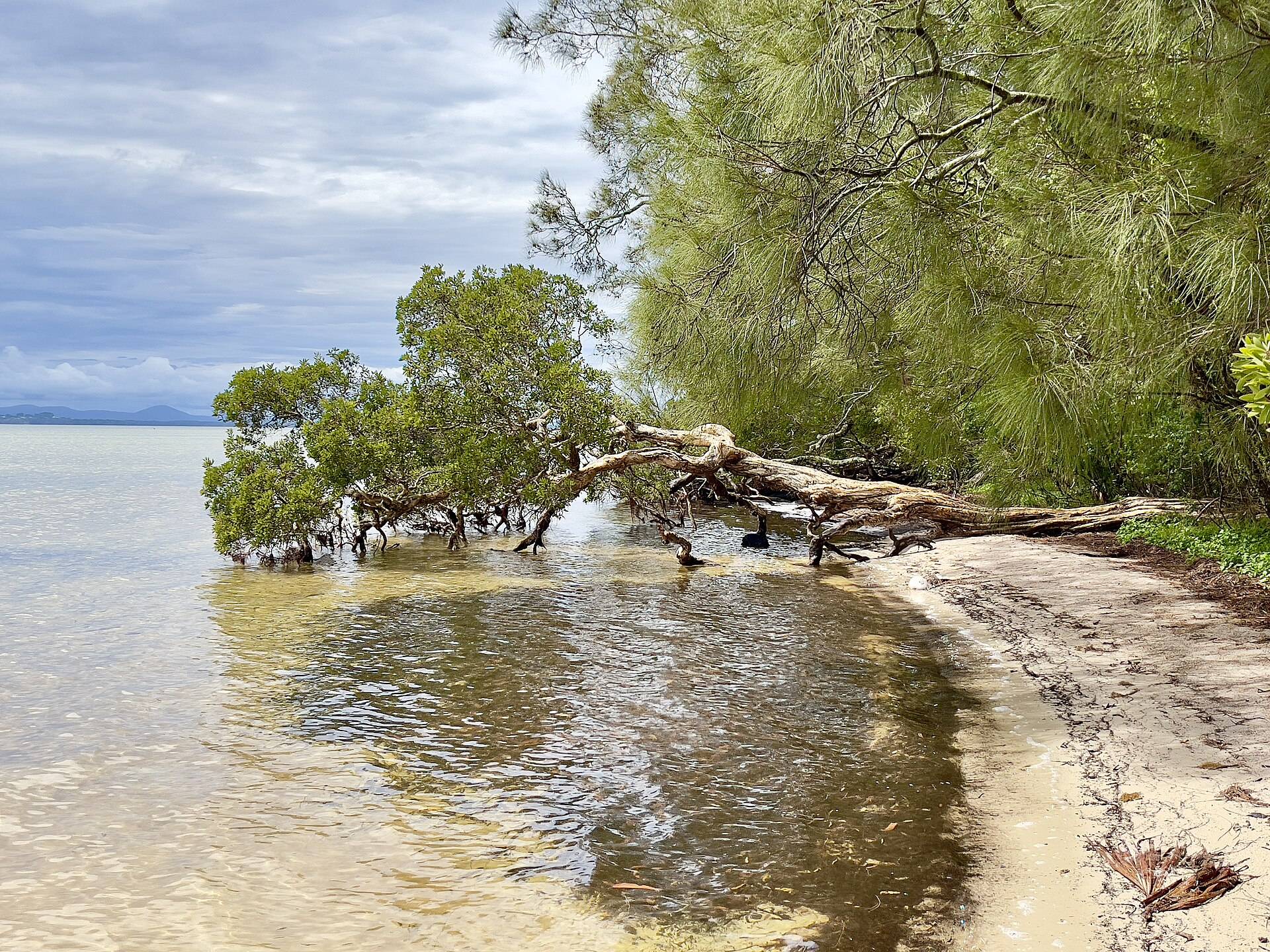 The Ruins Campground in Booti Booti, NSW — photo 1