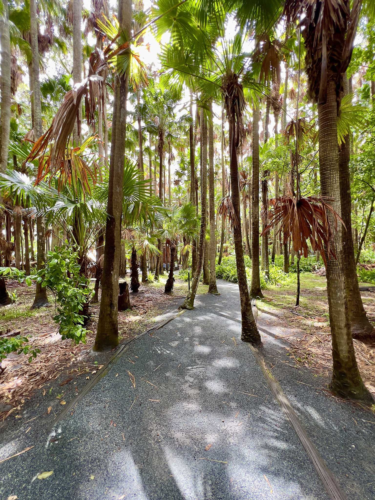 Santa Barbara Picnic Ground in Tiona, NSW — photo 3