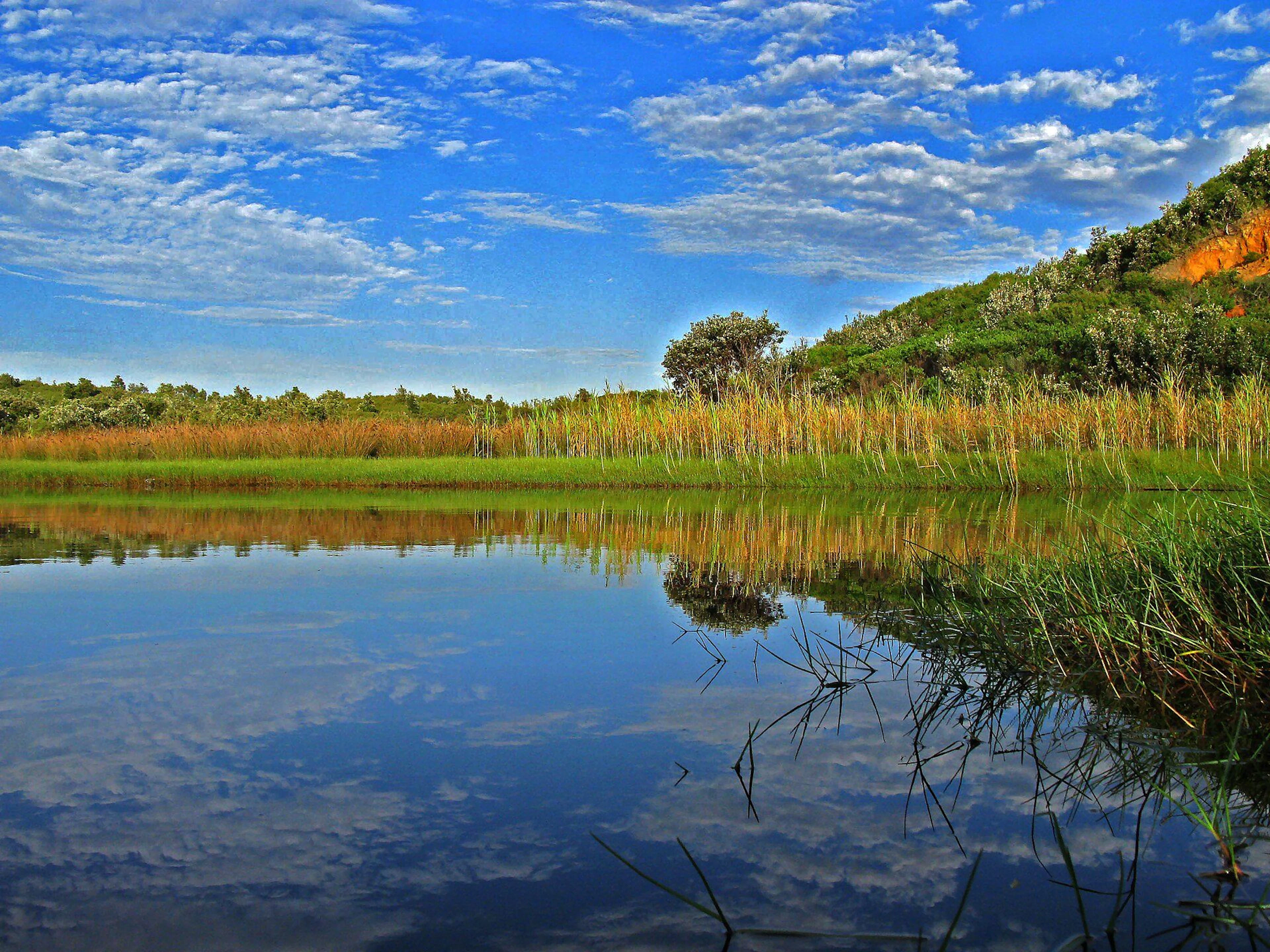 Freemans Campground in Freemans, NSW — photo 1