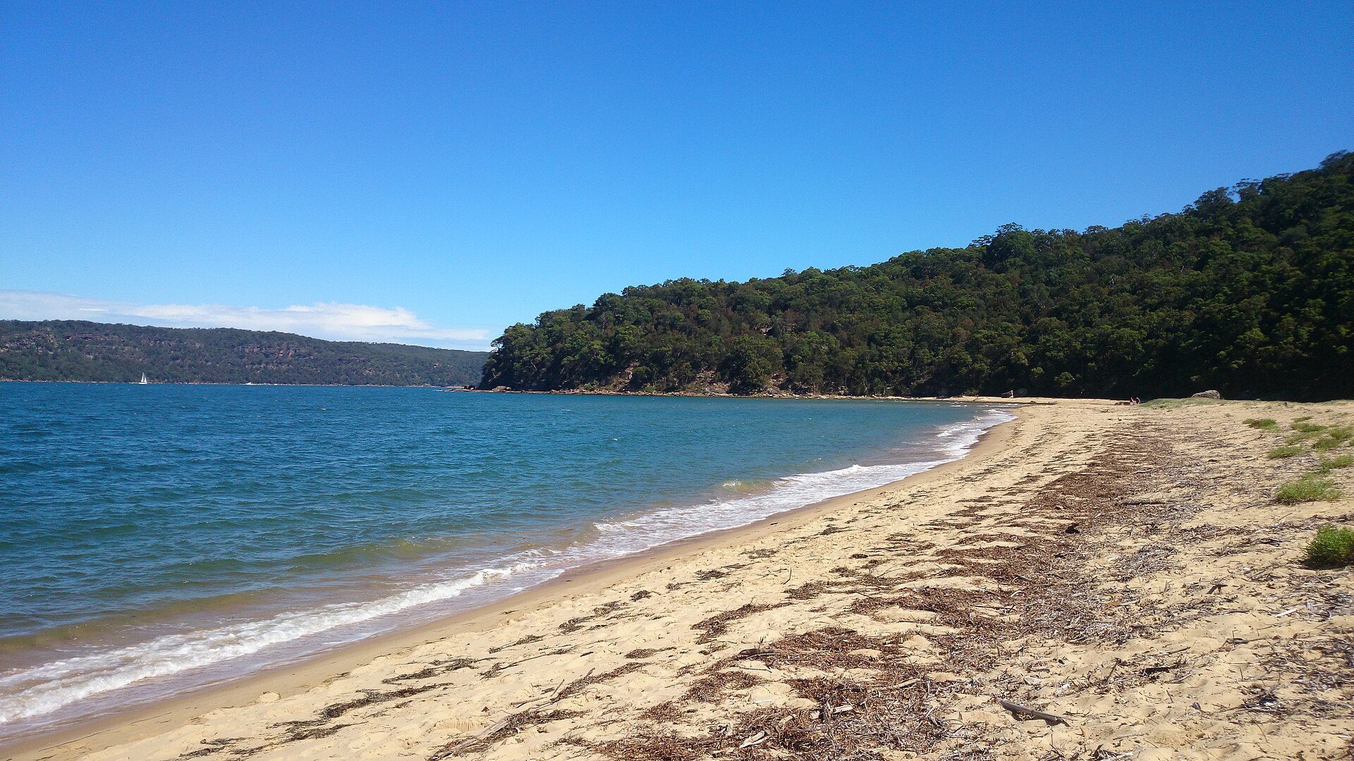 Patonga Foreshore Caravan Park and Camping Area — Patonga, NSW