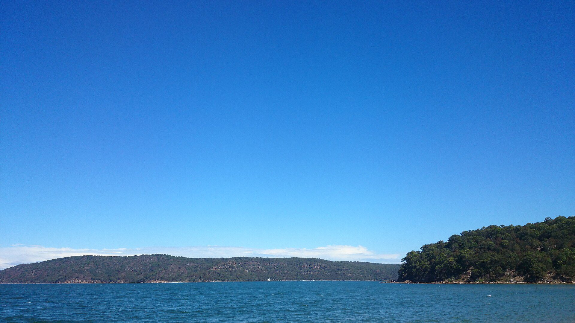 Patonga Foreshore Caravan Park and Camping Area in Patonga, NSW — photo 1
