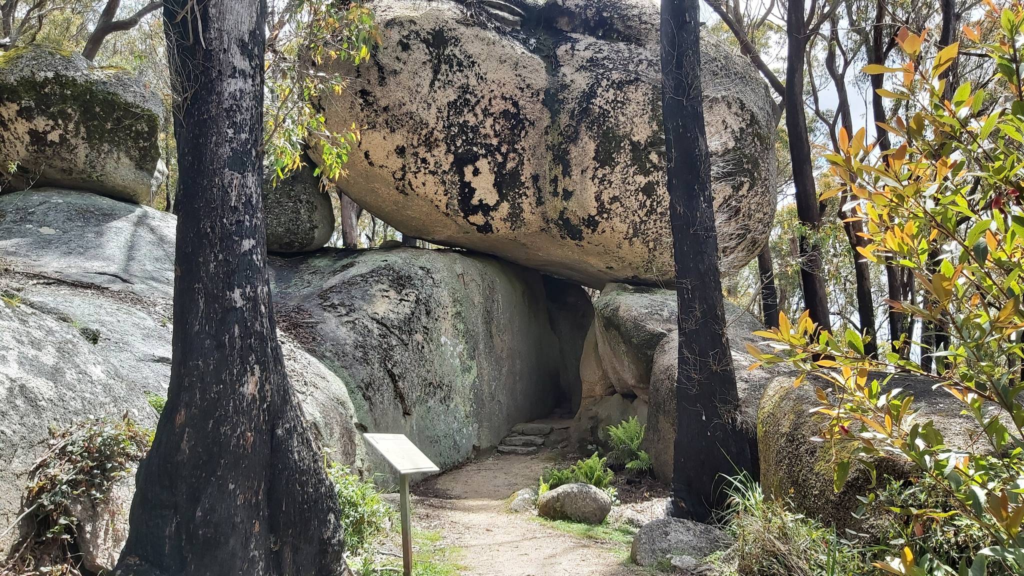 Bald Rock Campground in Boonoo Boonoo, NSW — photo 5