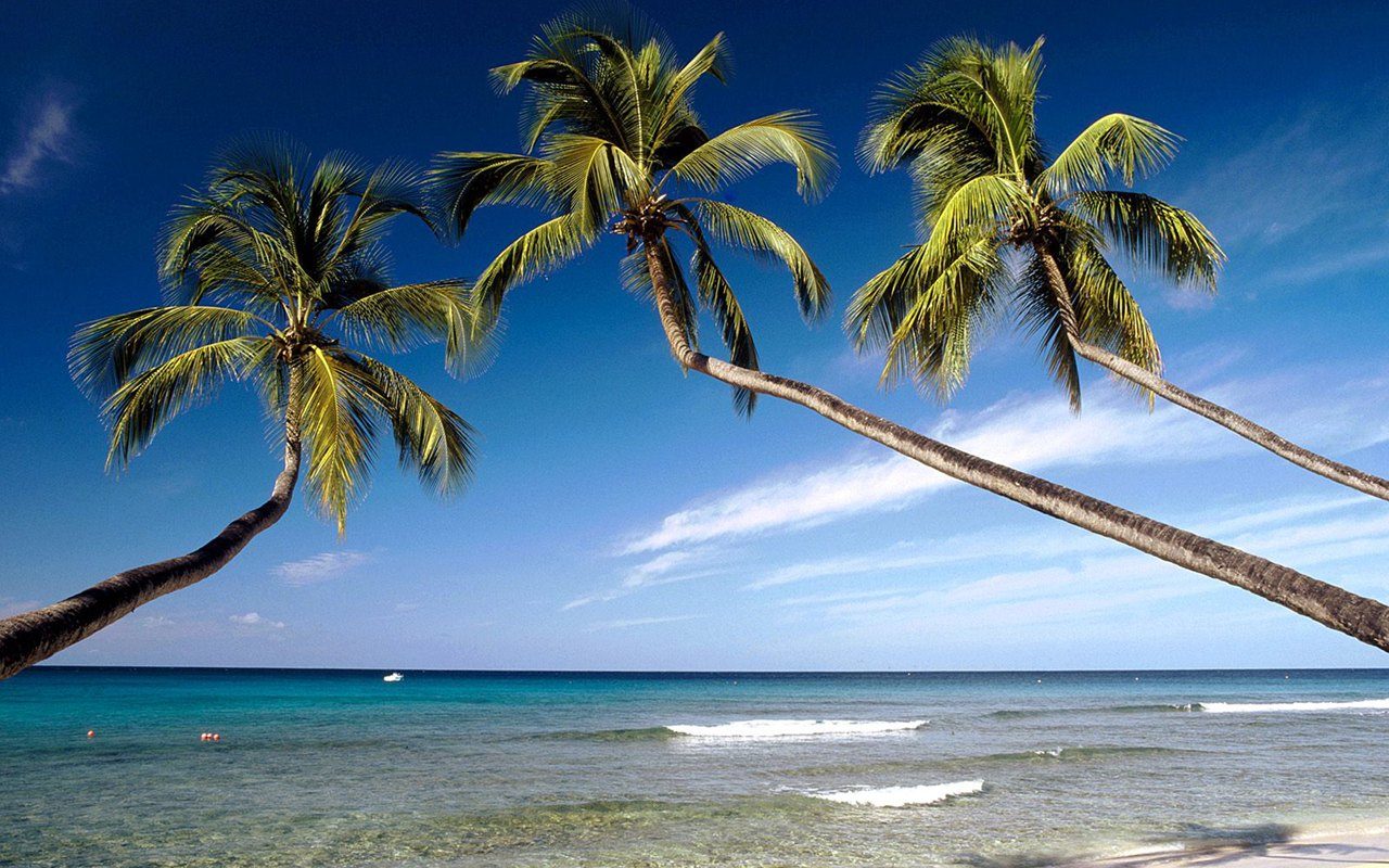 Fraser Coast Top Tourist Park — Scarness, QLD