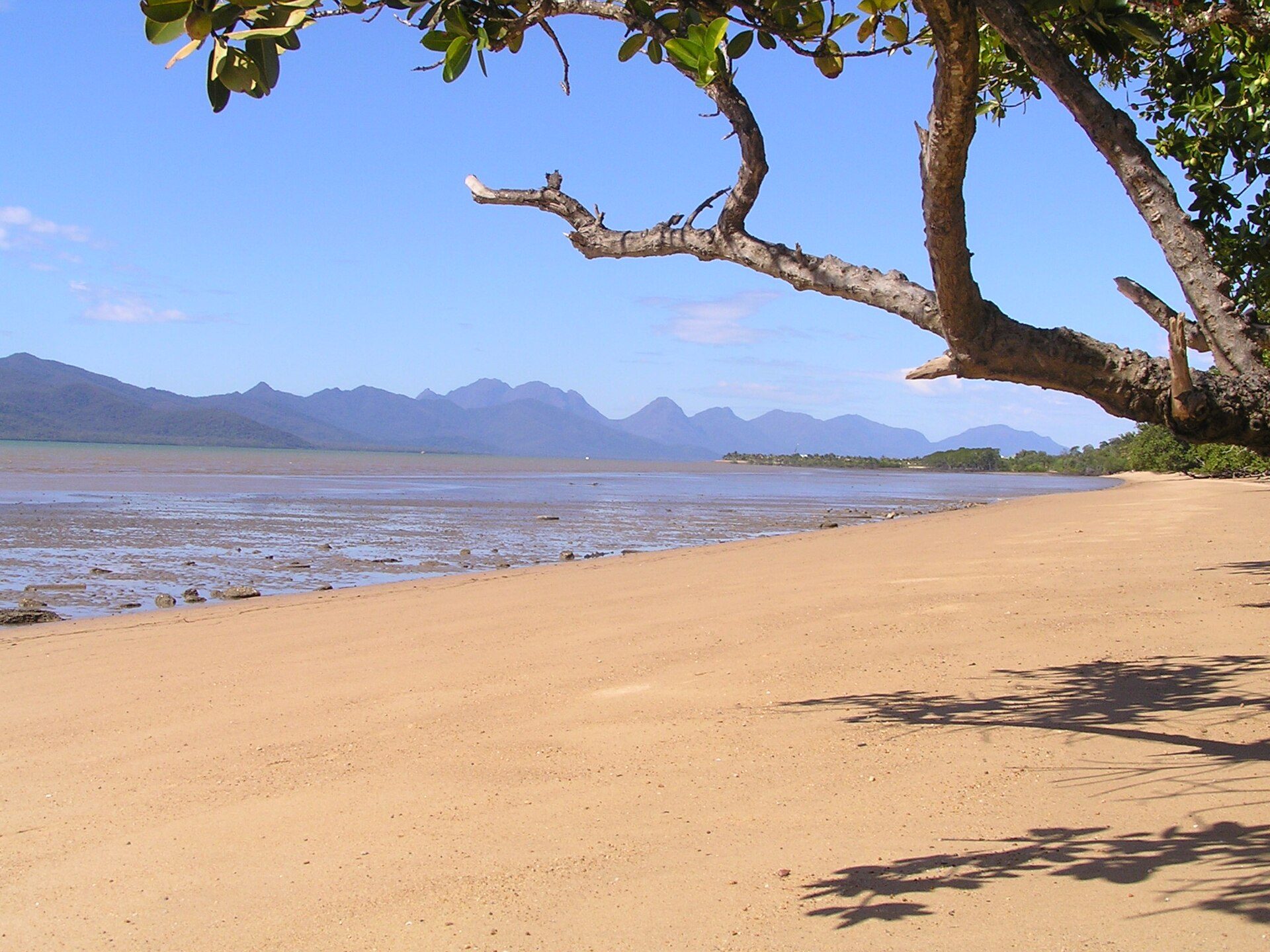 Cardwell Beachcomber Motel and Tourist Park in Cardwell, QLD — photo 3