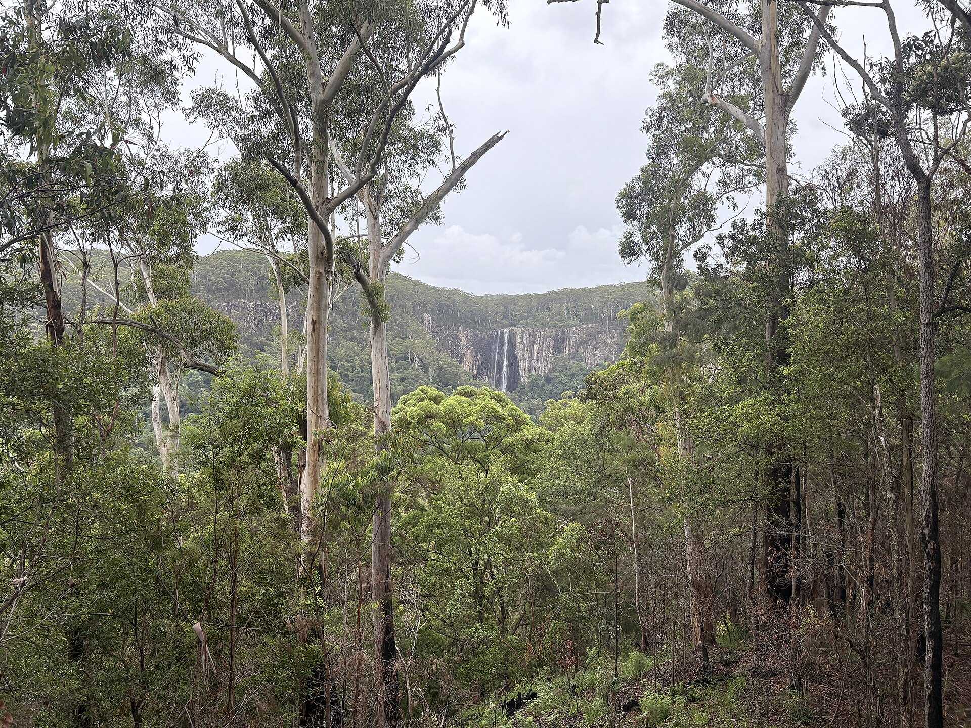Rummery Park in Whian Whian, NSW — photo 3