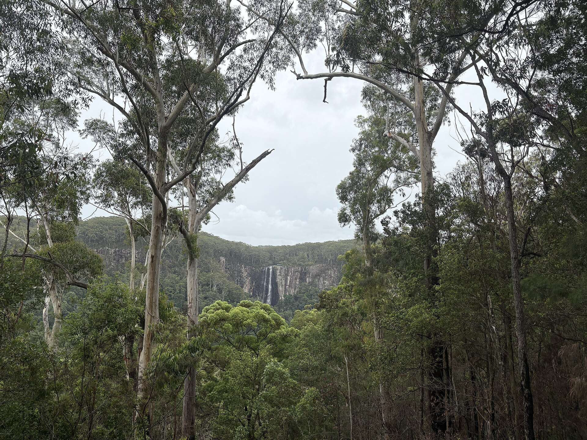 Rummery Park in Whian Whian, NSW — photo 2