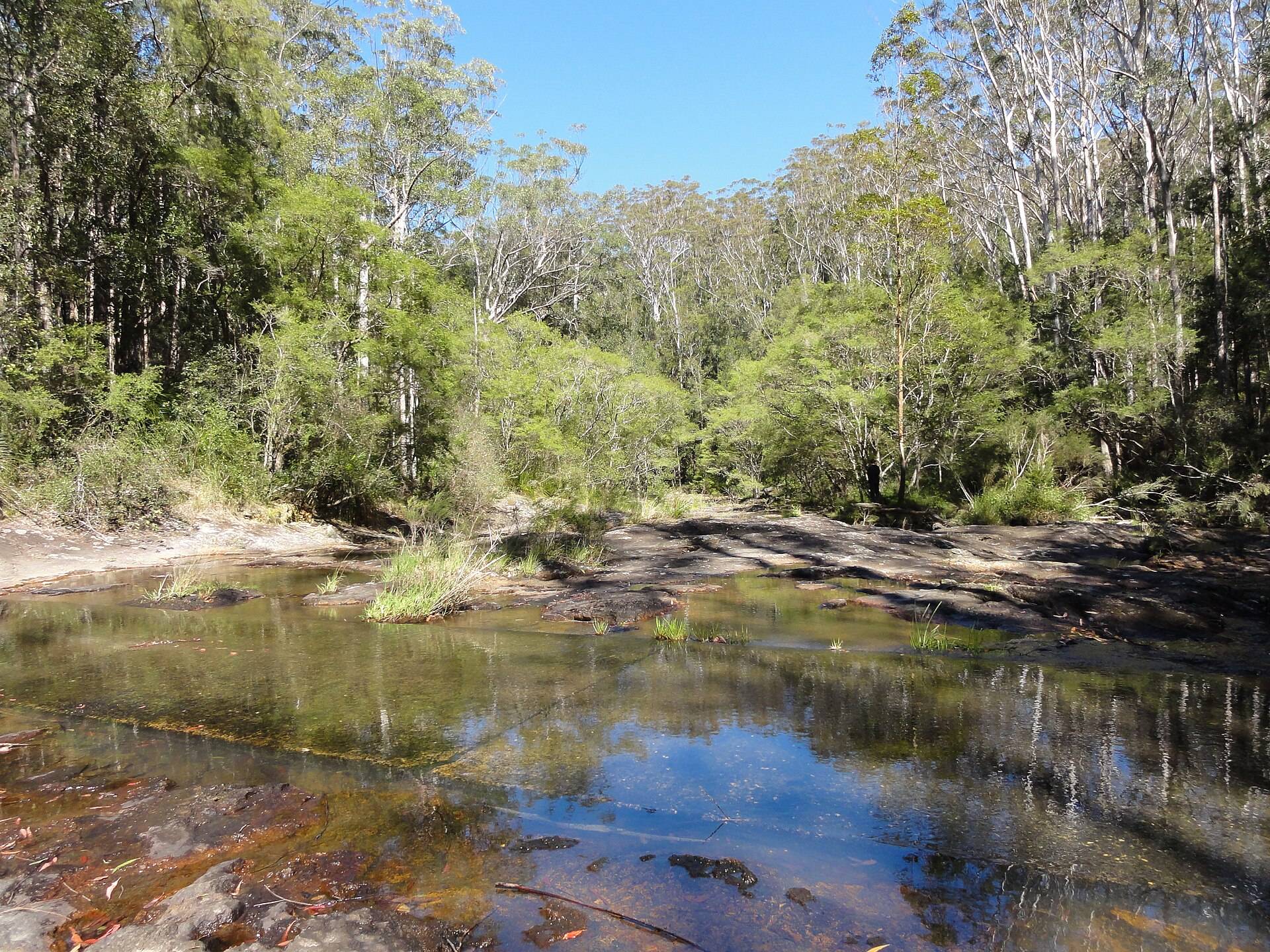 Rummery Park in Whian Whian, NSW — photo 1