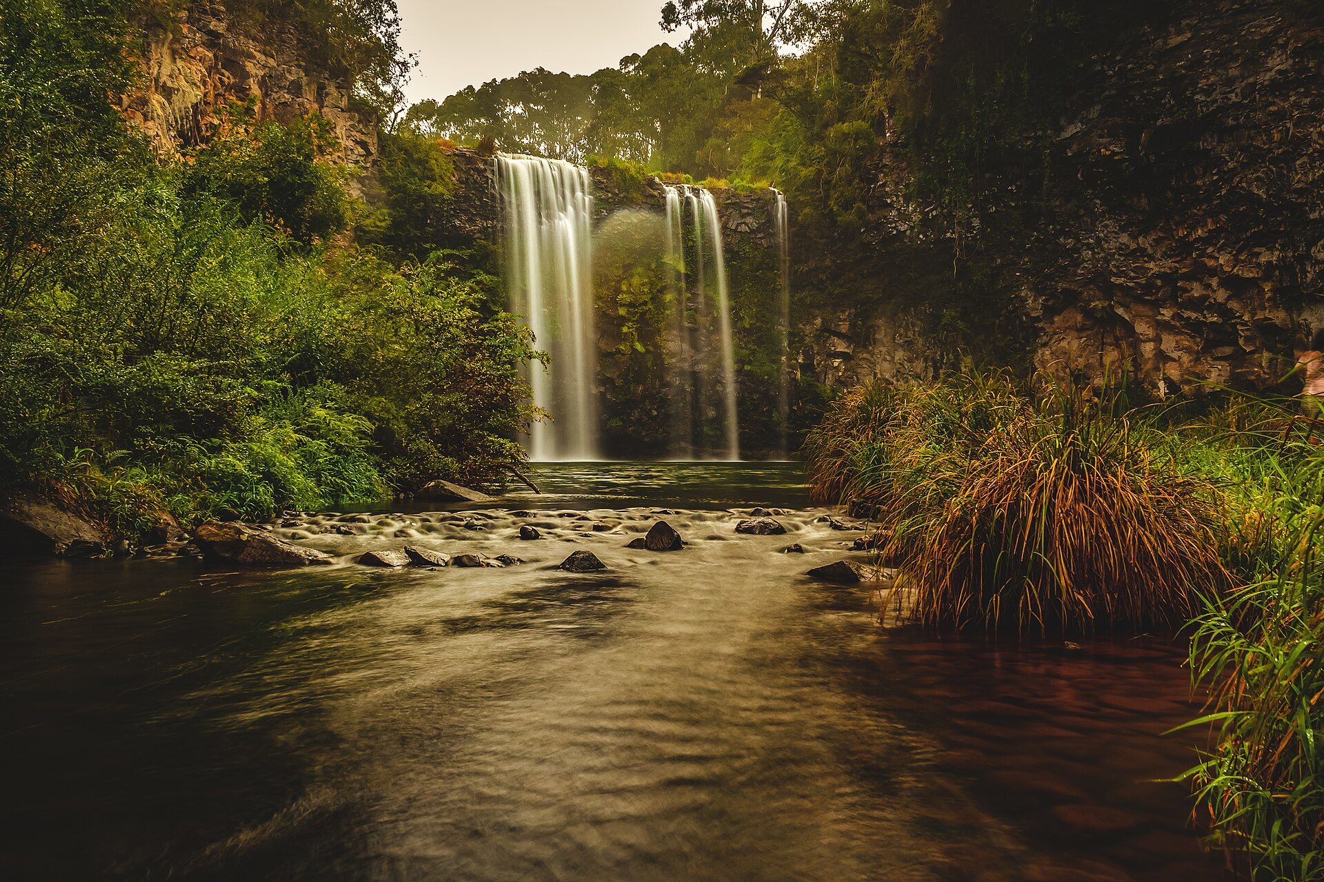 Dangar Falls Lodge and Camping — Dorrigo, NSW