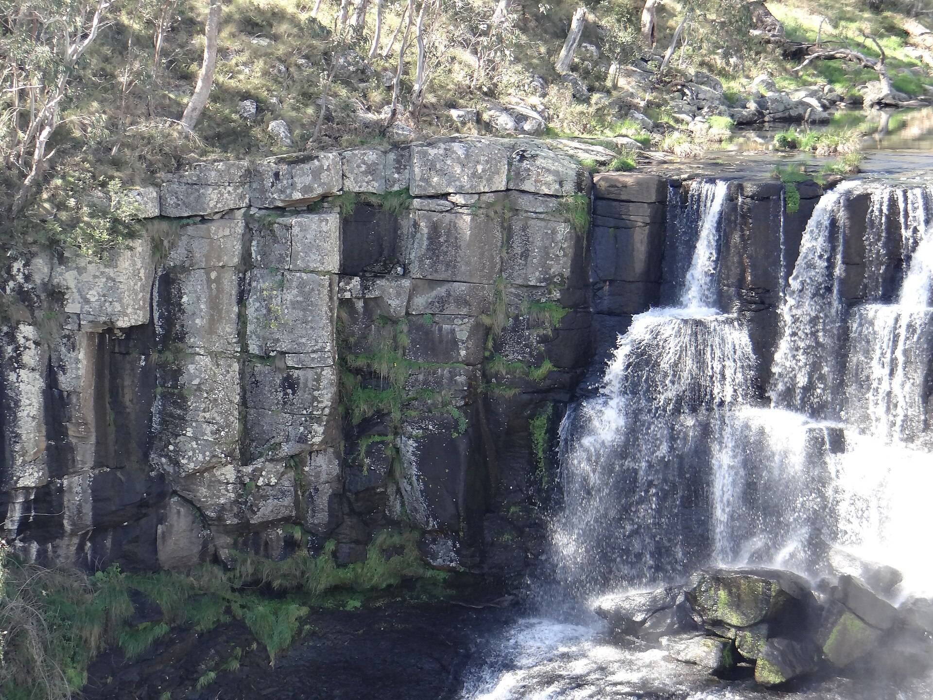 Ebor Falls Rest Area in Ebor, NSW — photo 1