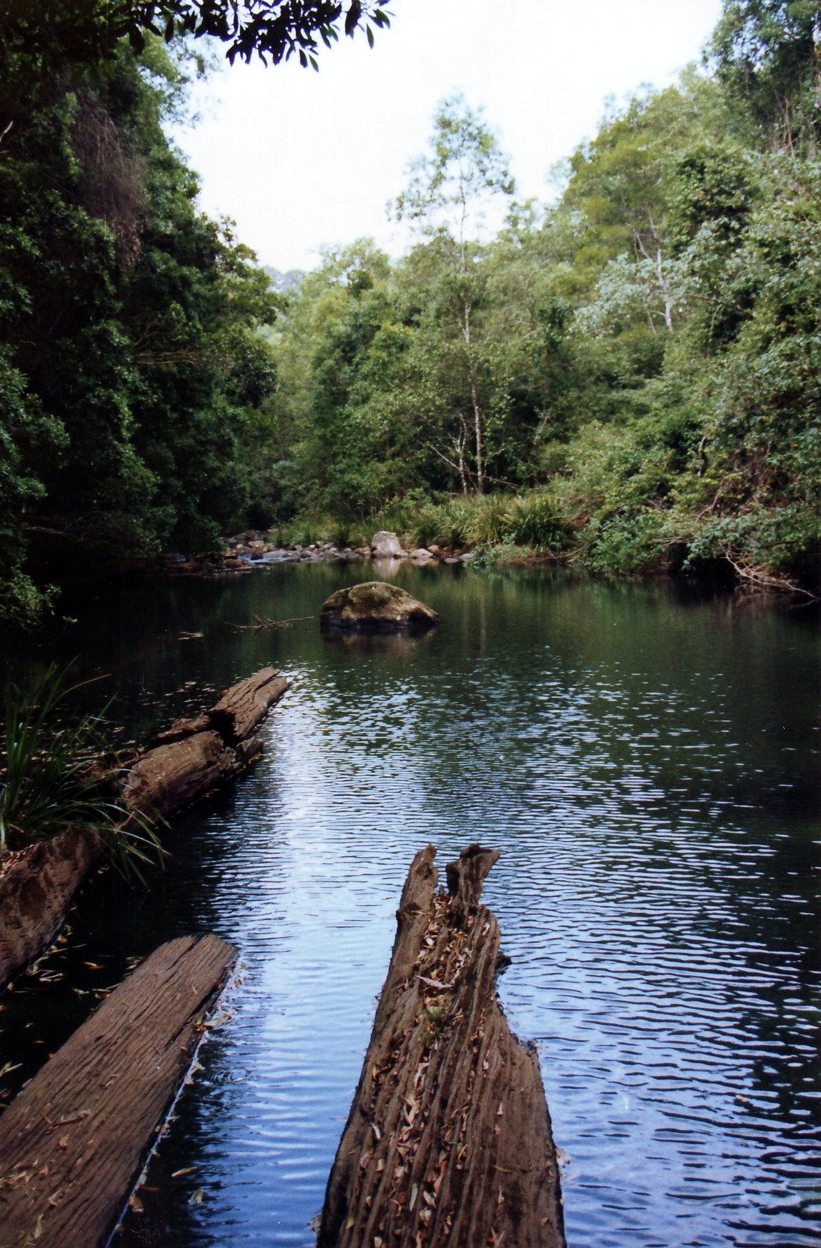 Brushy Mountain Campground — Forbes River, NSW