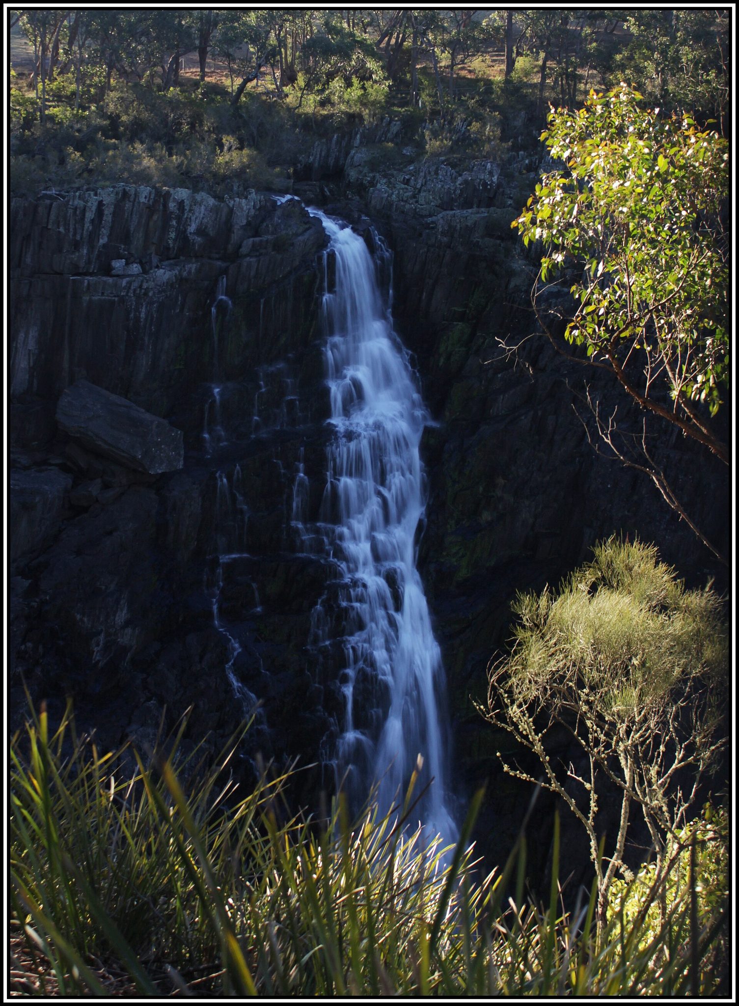 Tia River Rest Area in Walcha, NSW — photo 2