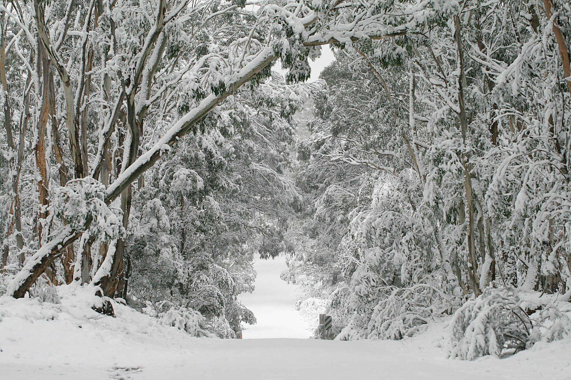 Boyd River Campground in Kanangra, NSW — photo 1