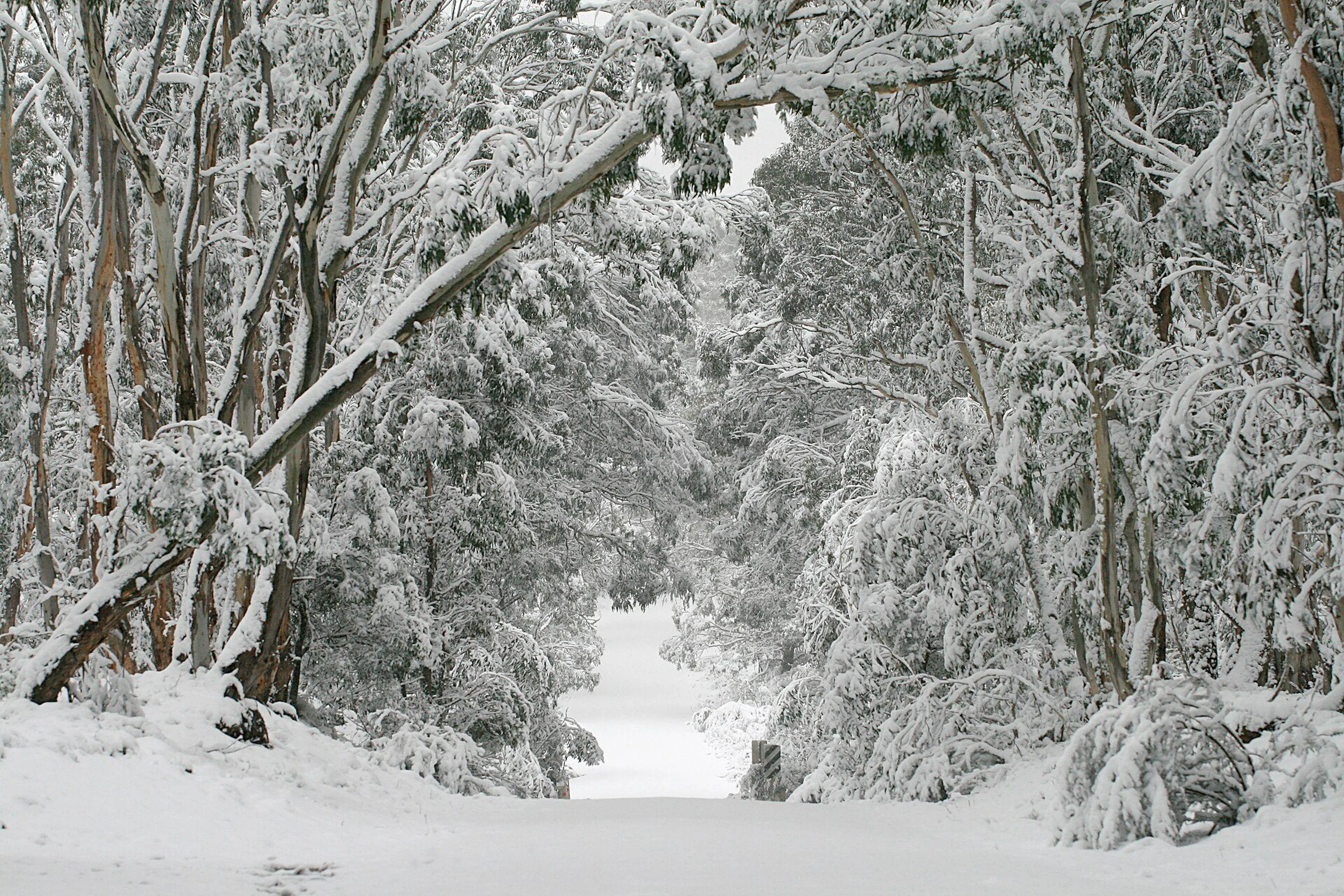 Boyd River Campground in Kanangra, NSW — photo 1