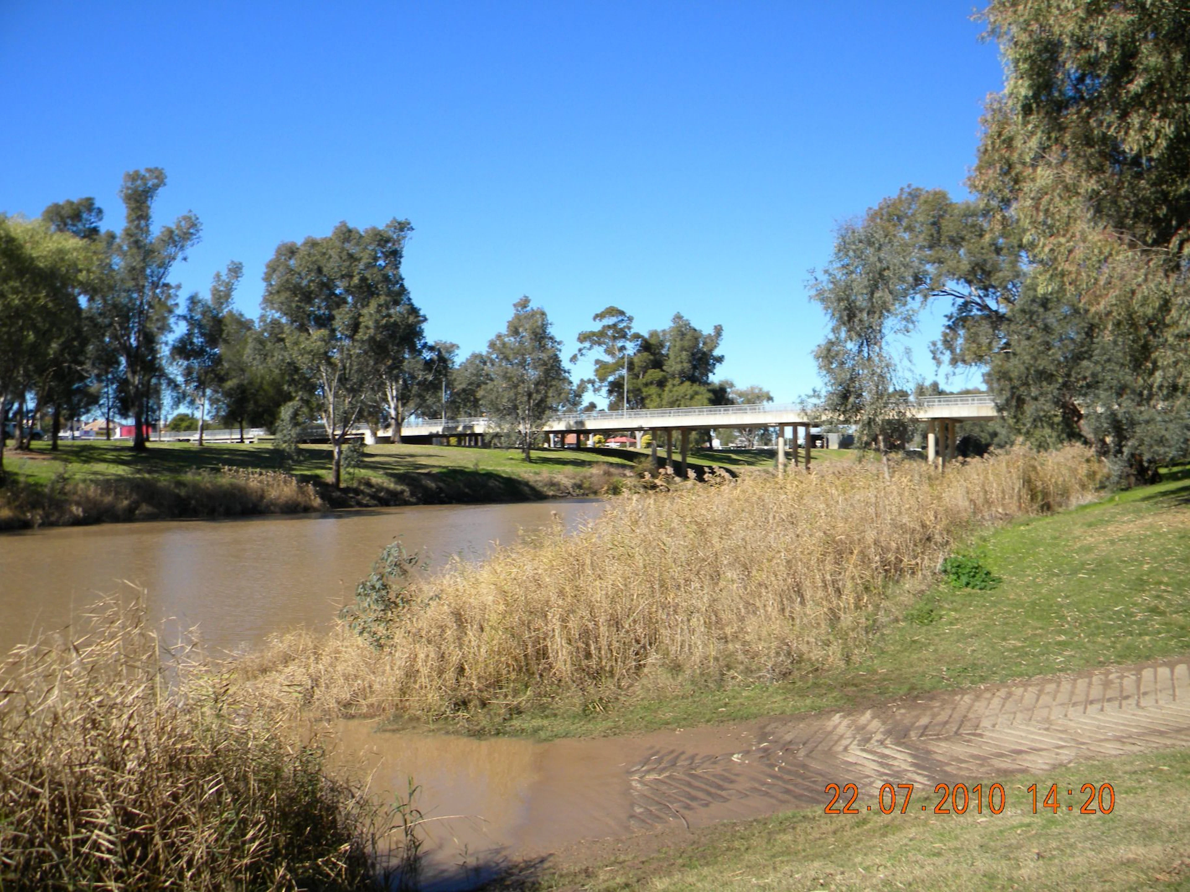 Narrabri Showground Camping Area in Narrabri, NSW — photo 1