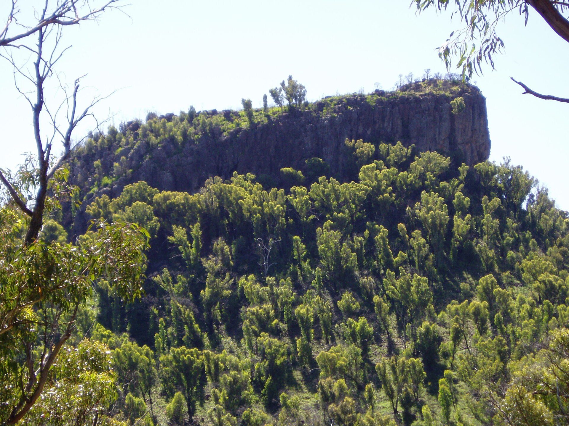 Bark Hut Camping Area in Kaputar, NSW — photo 1