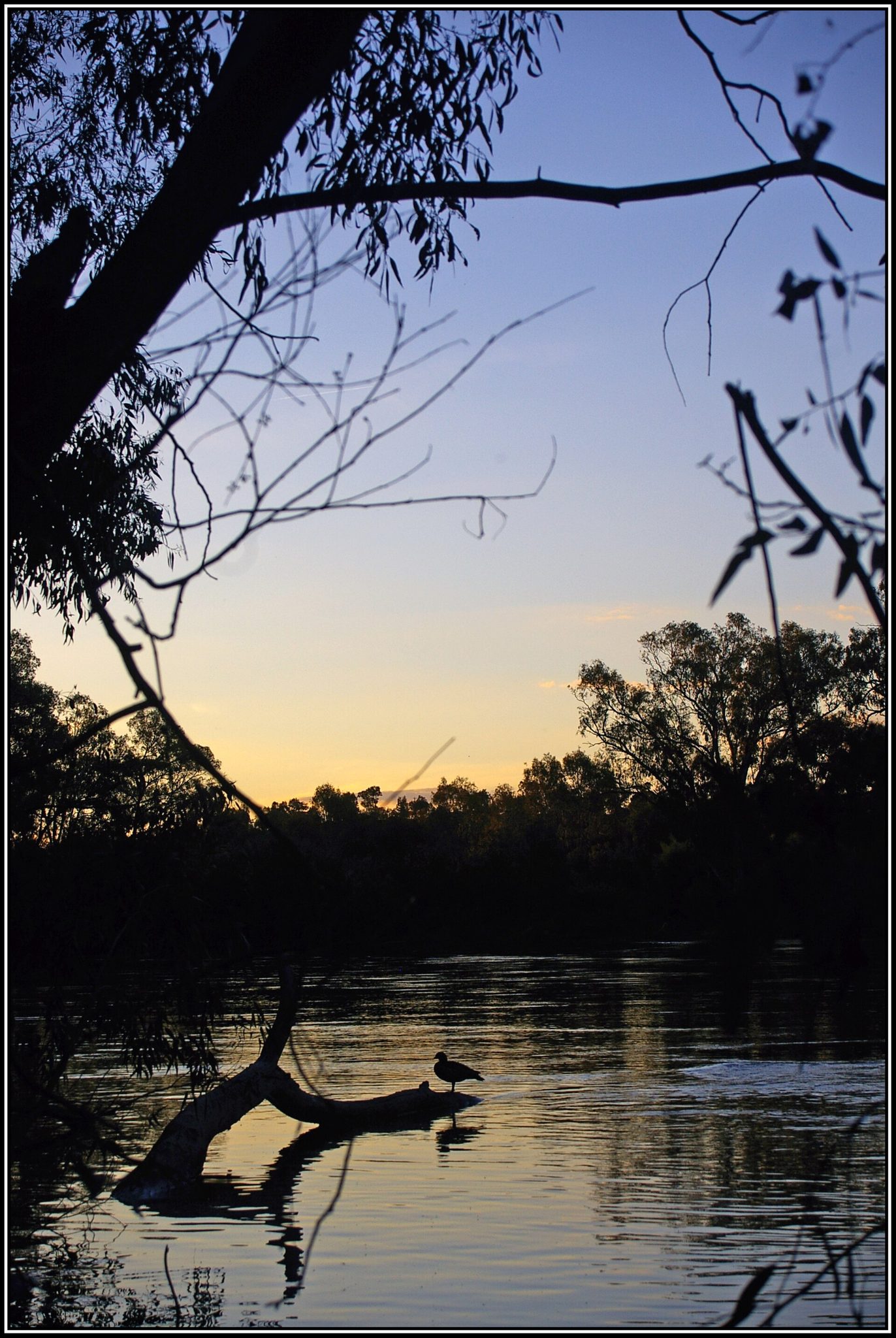 Noreuil Park Picnic Area in South Albury, NSW — photo 1