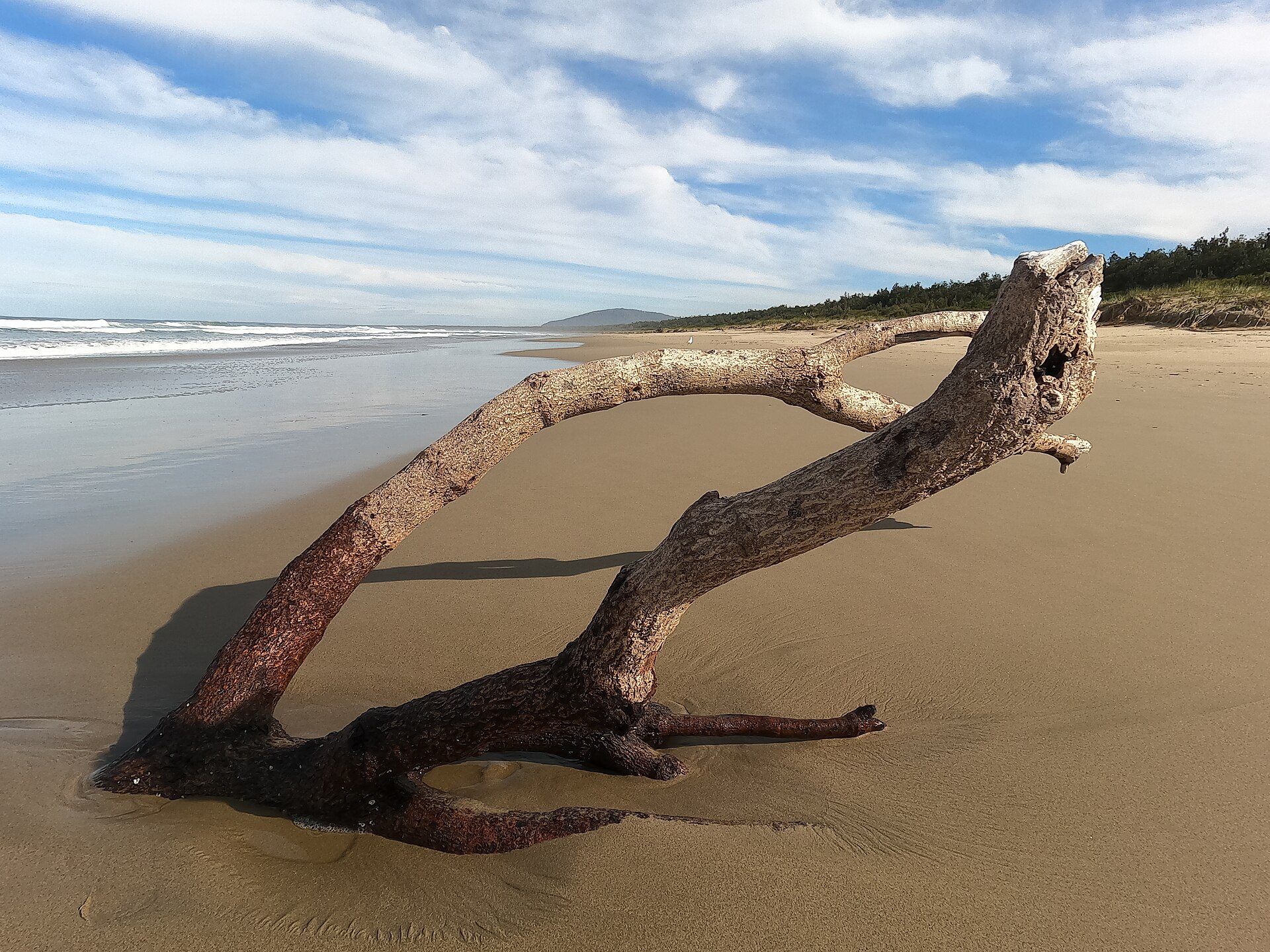 Seven Mile Beach Rest Area in Gerroa, NSW — photo 2