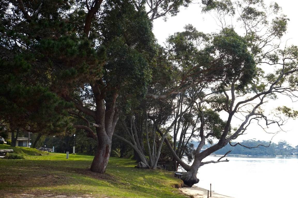 Alamein Caravan Park in Sussex Inlet, NSW — photo 5