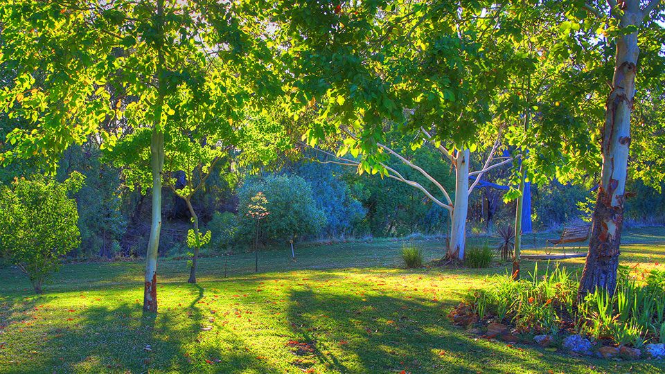 Highway Tourist Village and Caravan Park Narrabri in Narrabri, NSW — photo 1