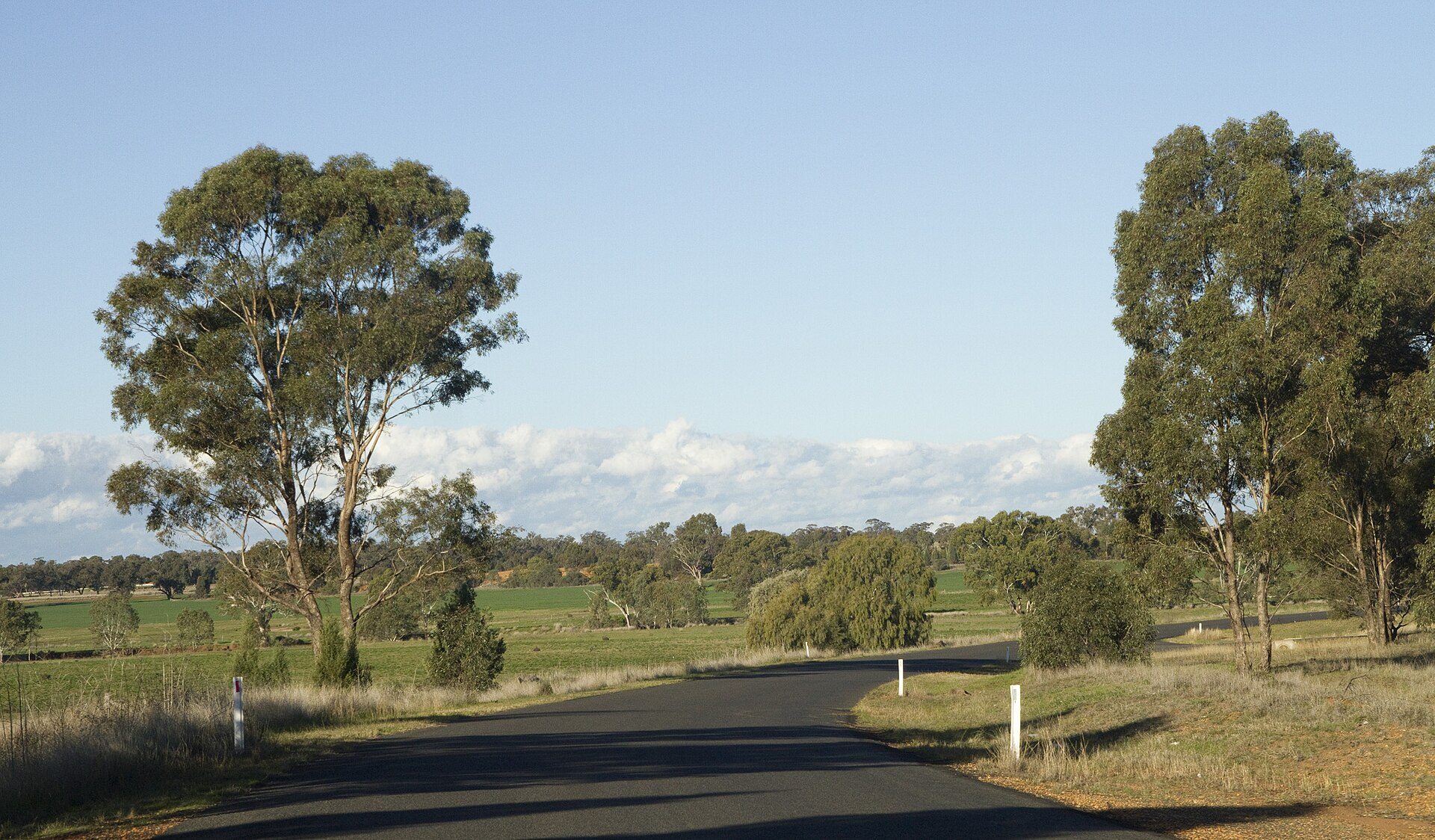 Brocklehurst Rest Area — Brocklehurst, NSW