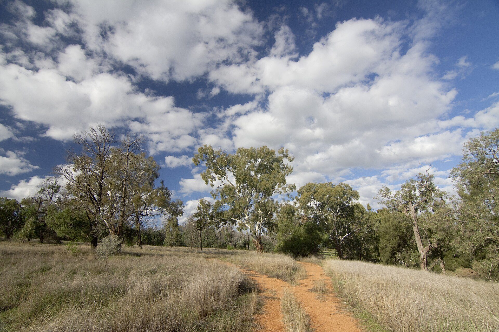 Brocklehurst Rest Area in Brocklehurst, NSW — photo 2