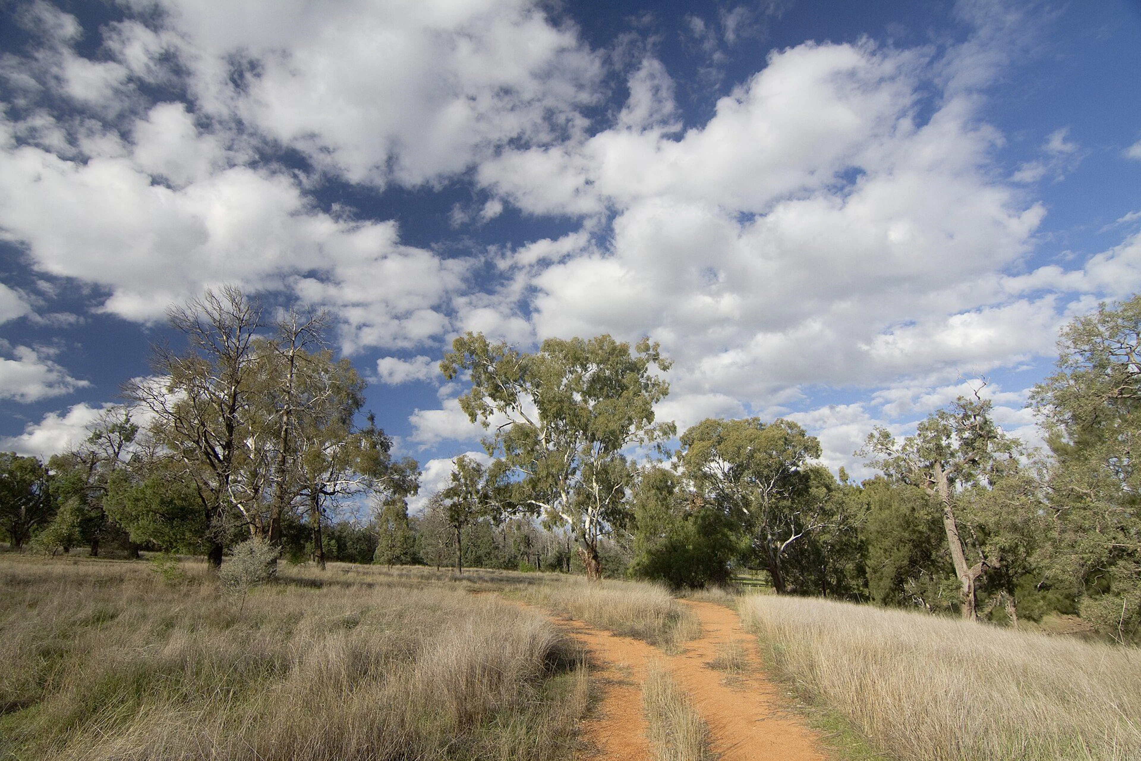 Brocklehurst Rest Area in Brocklehurst, NSW — photo 2