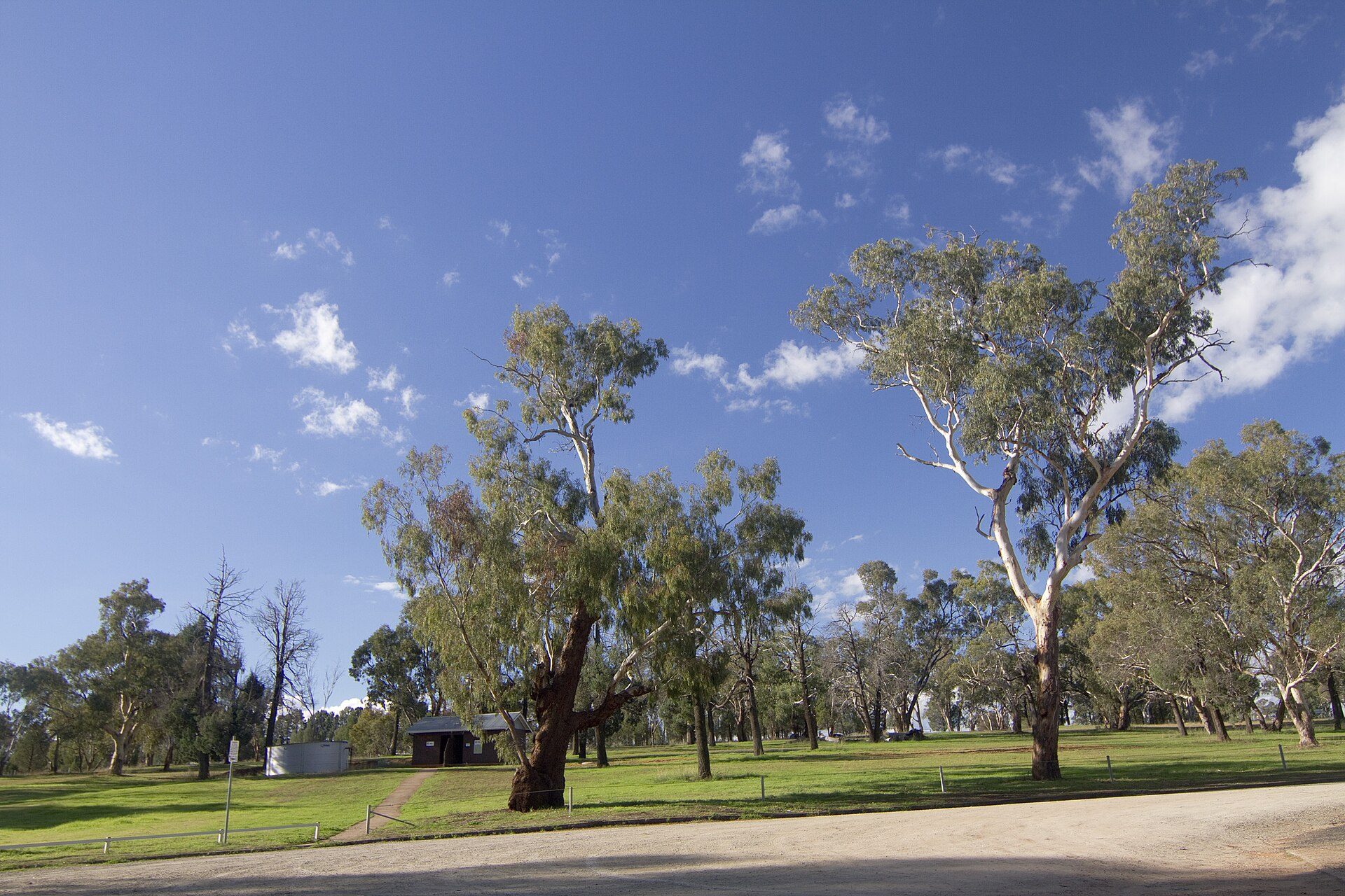 Terramungamine Reserve — Terramungamine, NSW