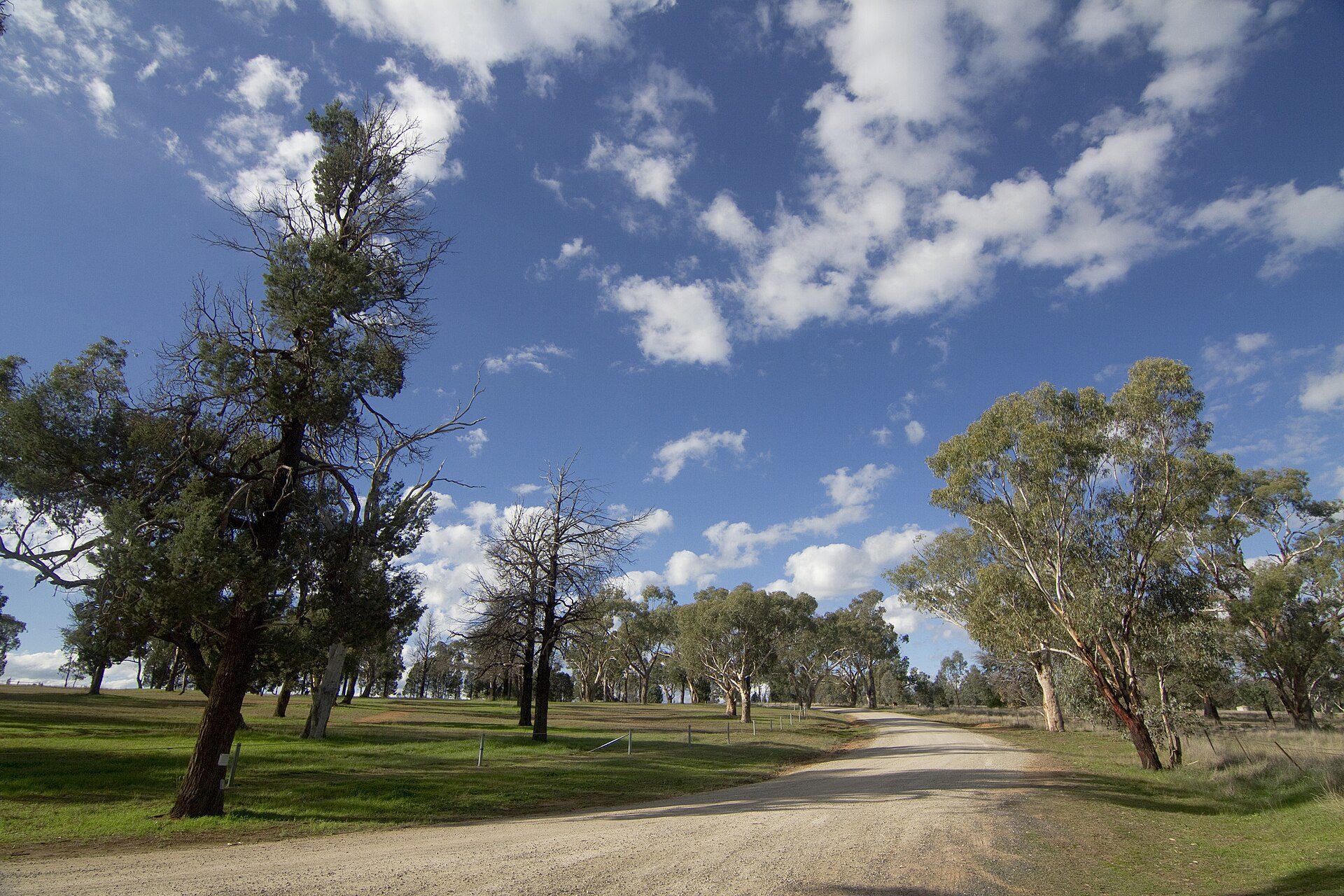 Terramungamine Reserve in Terramungamine, NSW — photo 2