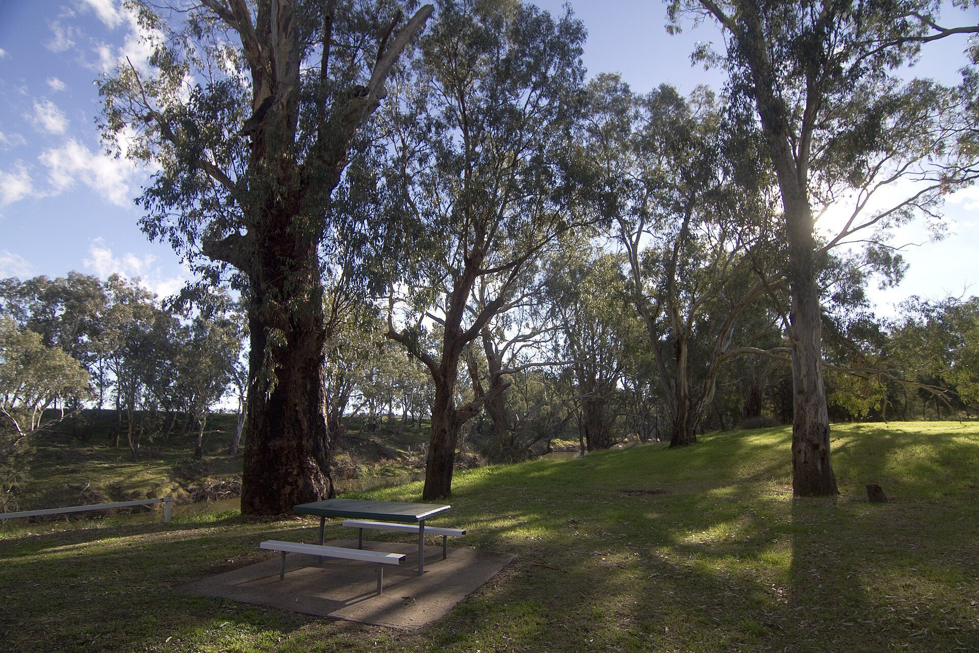 Terramungamine Reserve in Terramungamine, NSW — photo 3