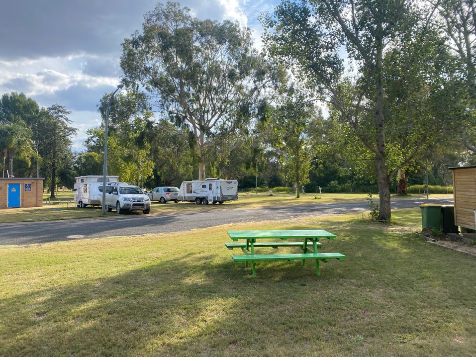 Gilgandra Caravan Park — Gilgandra, NSW