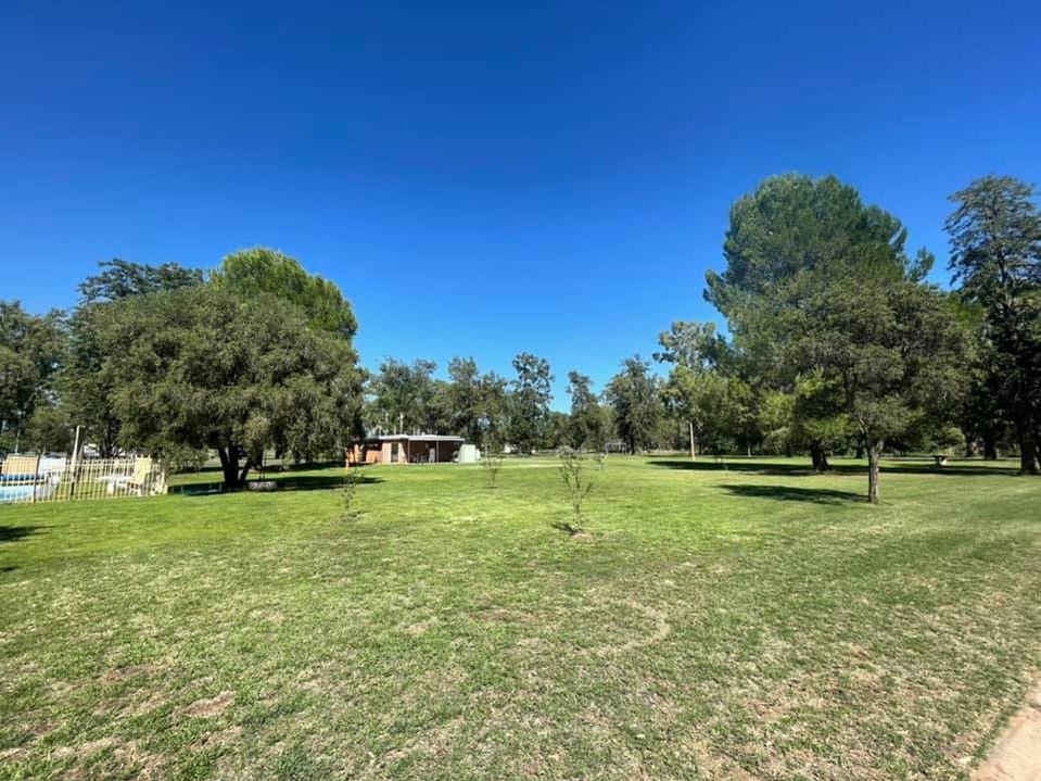 Gilgandra Caravan Park in Gilgandra, NSW — photo 3