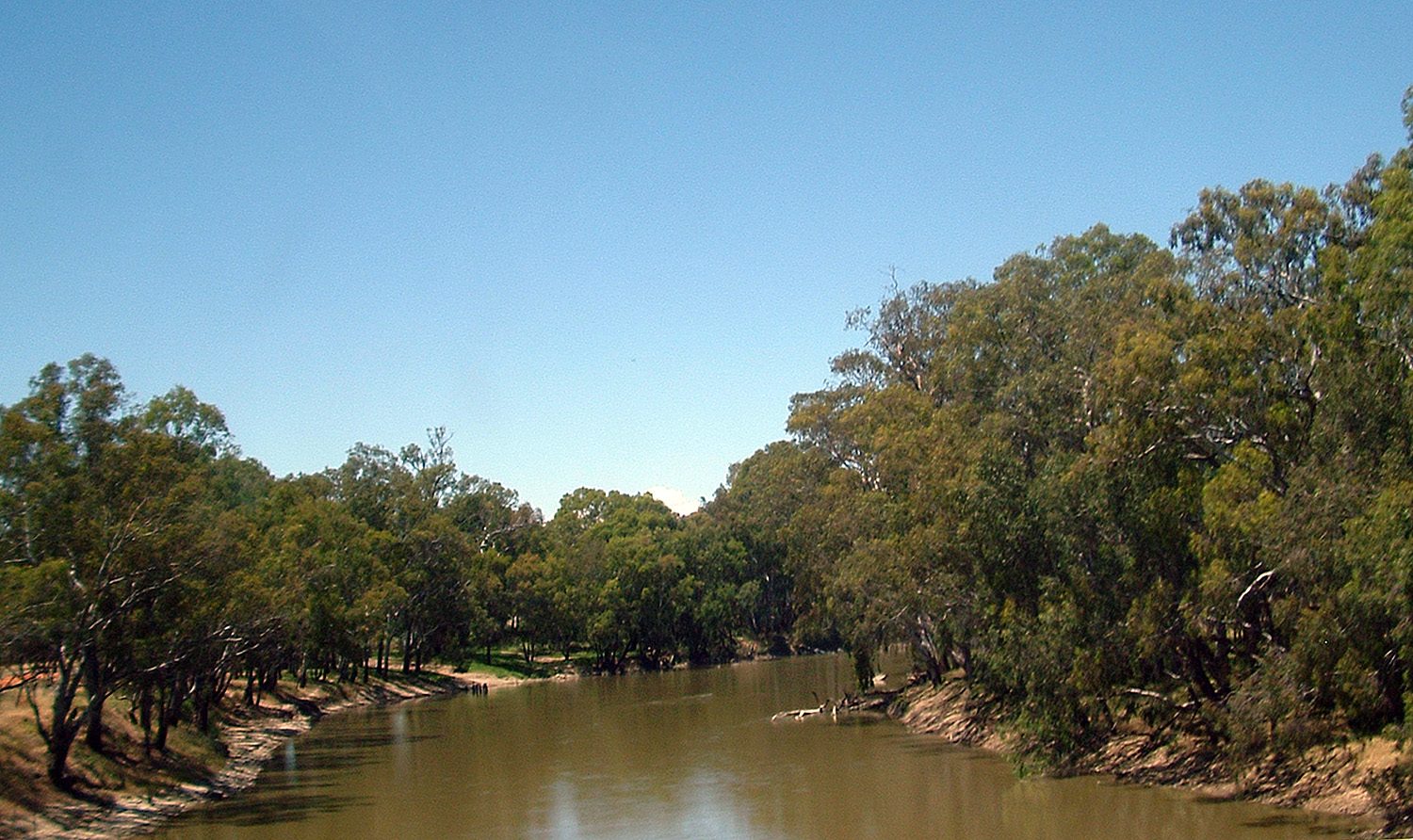 Gillenbah South Rest Area — Gillenbah, NSW