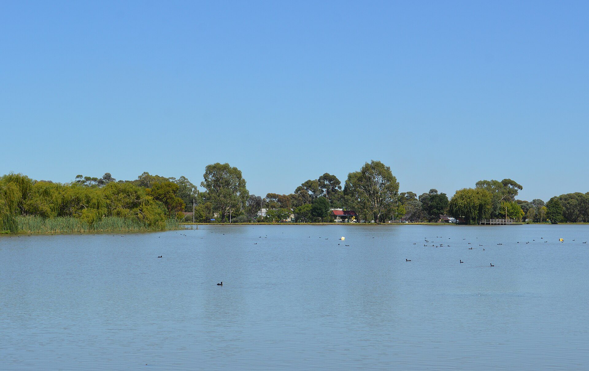 Finley Lakeside Caravan Park — Finley, NSW