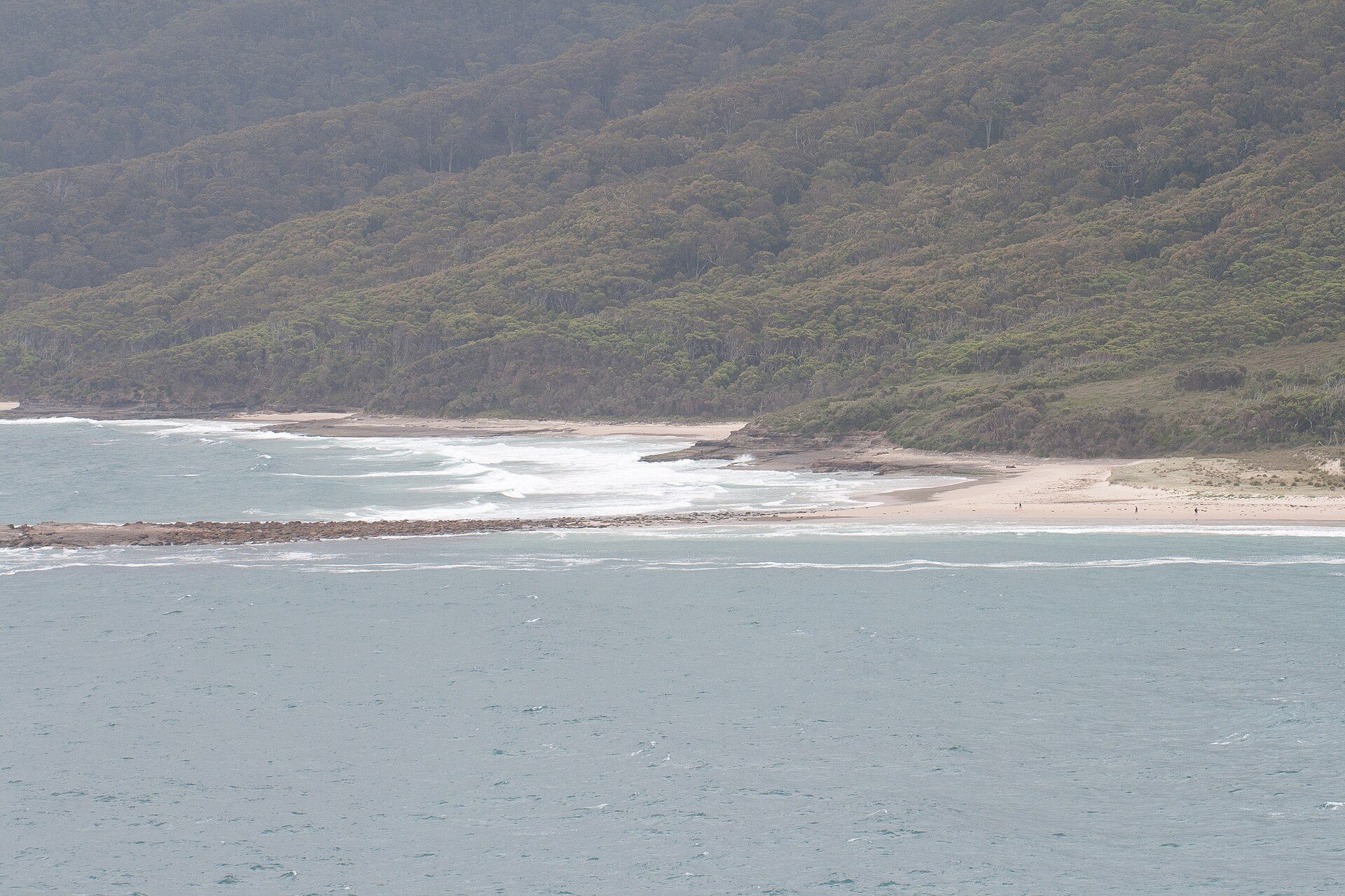Pretty Beach Camping Area Kioloa in Pretty Beach, NSW — photo 2