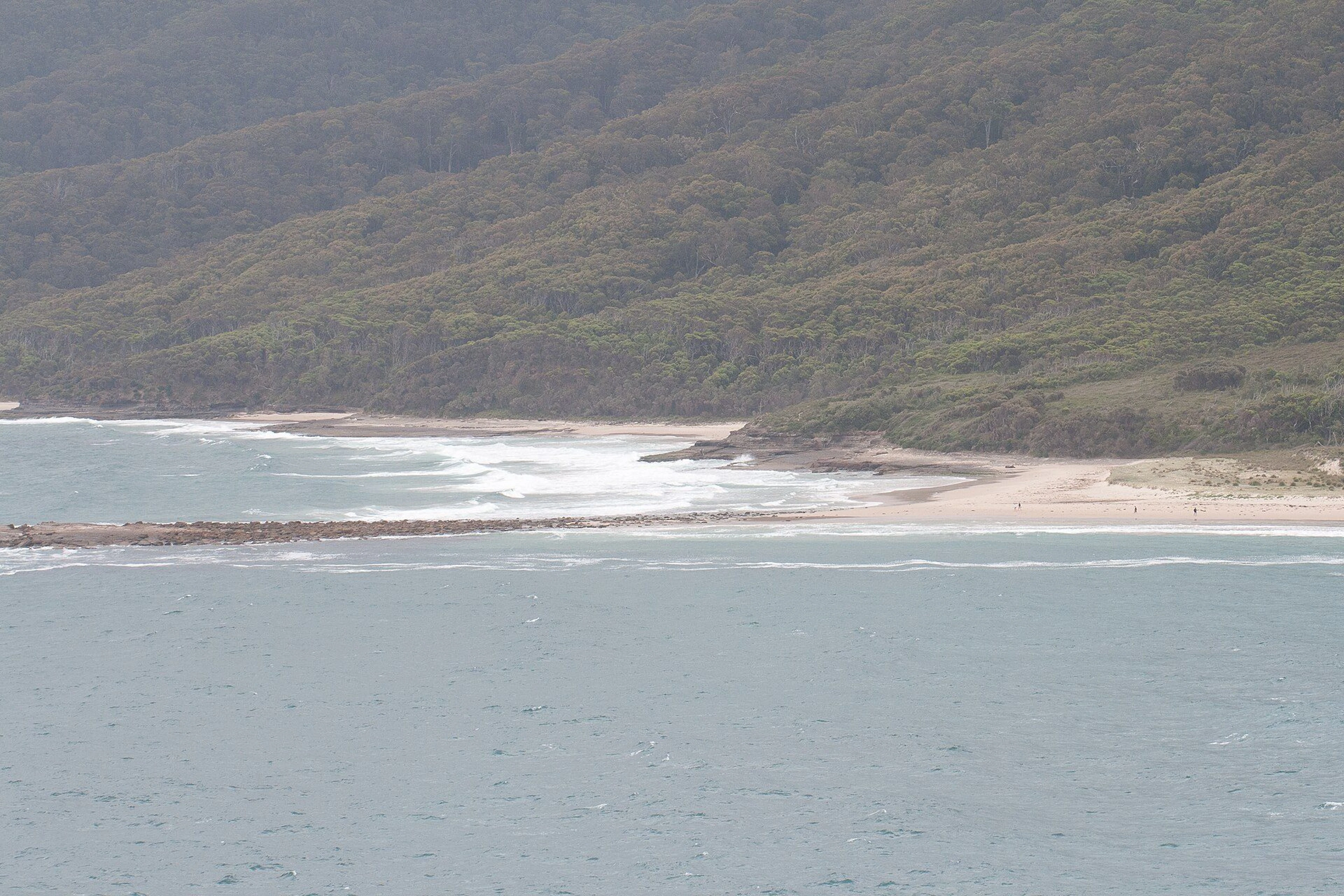 Pretty Beach Camping Area Kioloa in Pretty Beach, NSW — photo 2
