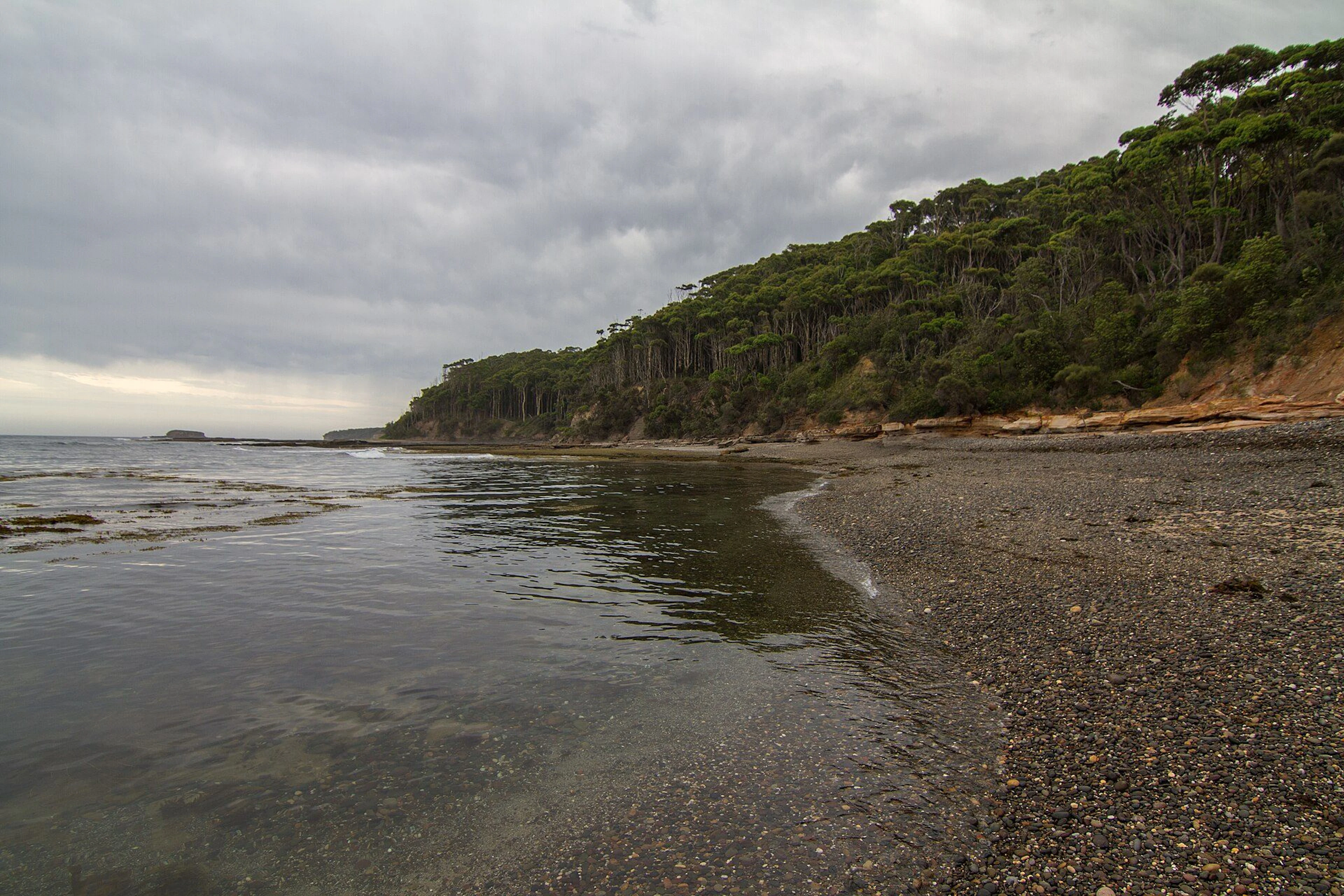Depot Beach Campground in Depot Beach, NSW — photo 3