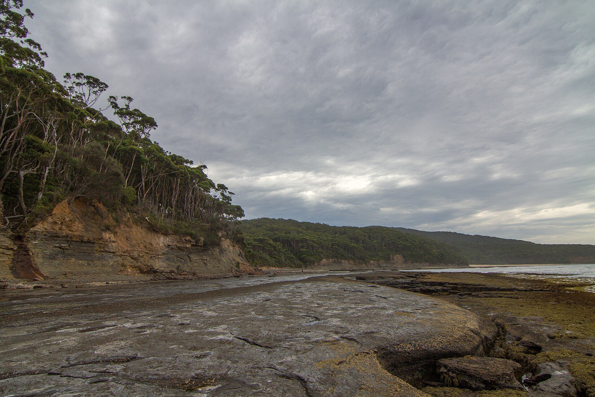 Depot Beach Campground in Depot Beach, NSW — photo 2