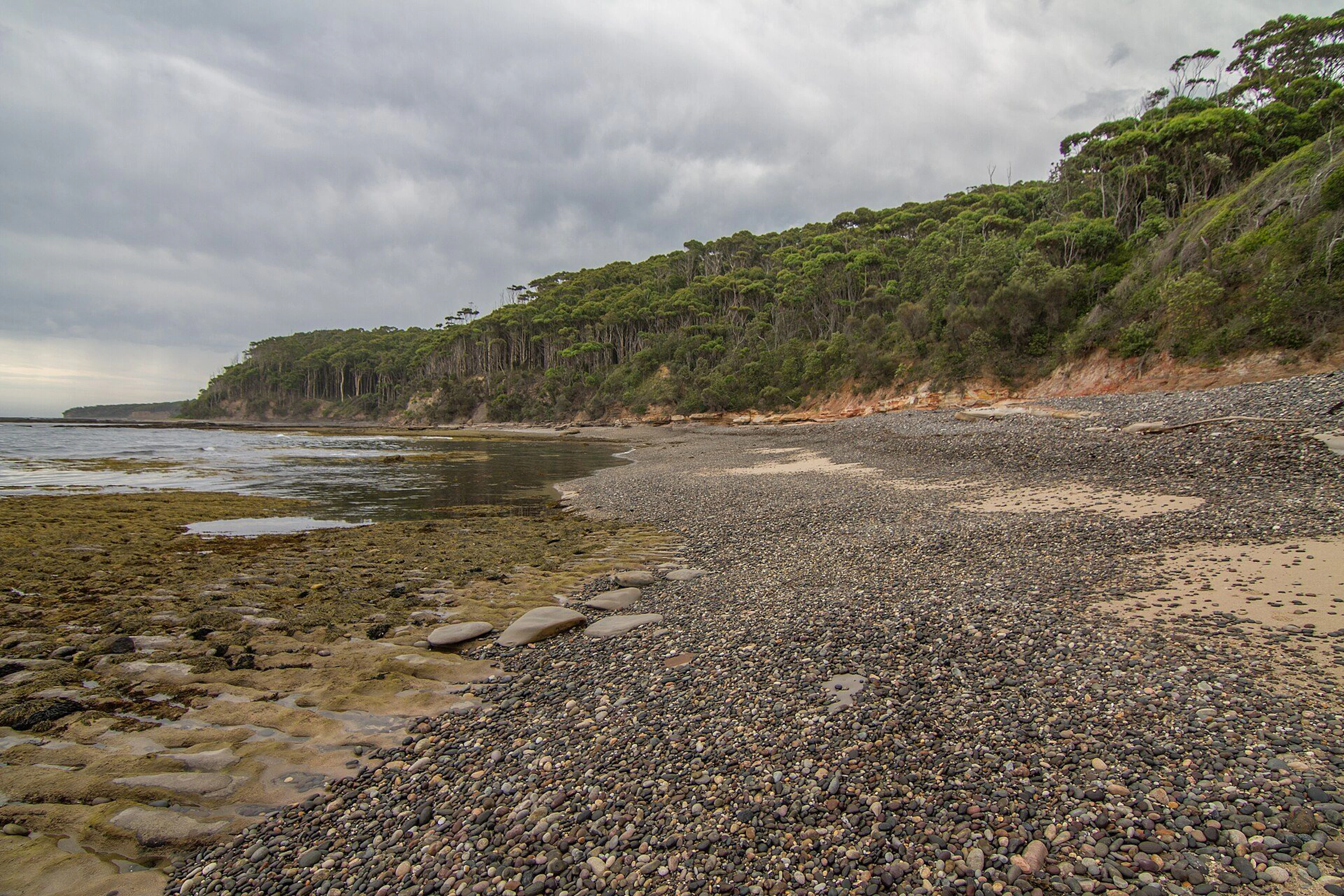 Depot Beach Campground in Depot Beach, NSW — photo 1