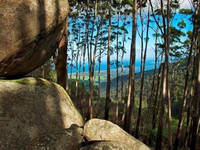 Dalmeny Caravan and Camping Ground in Dalmeny, NSW — photo 4