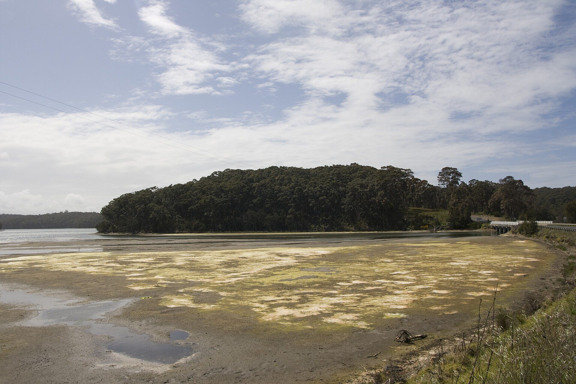 Mystery Bay Primitive Campground — Mystery Bay, NSW