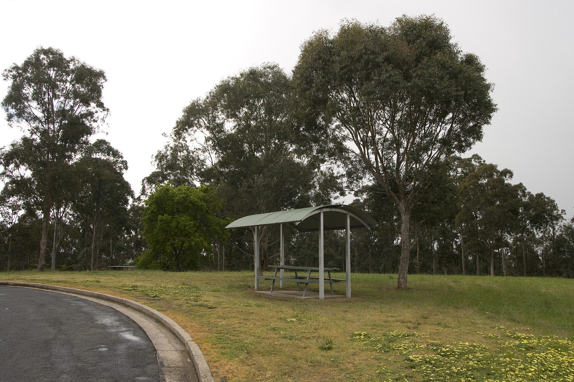 Bega Valley Lookout Rest Area in Coopers Gully, NSW — photo 1