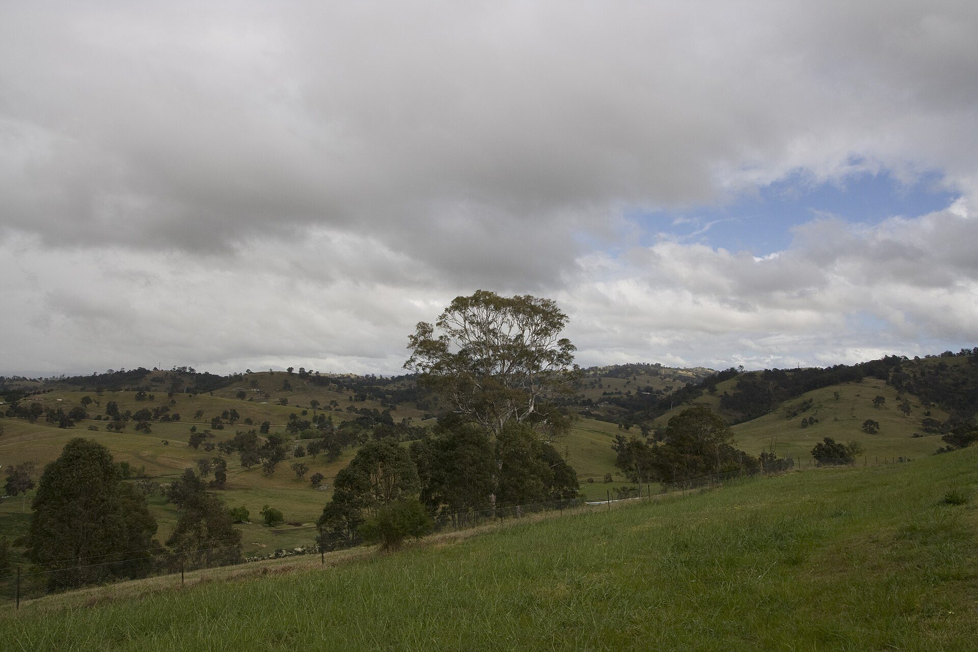 Bega Valley Lookout Rest Area in Coopers Gully, NSW — photo 3